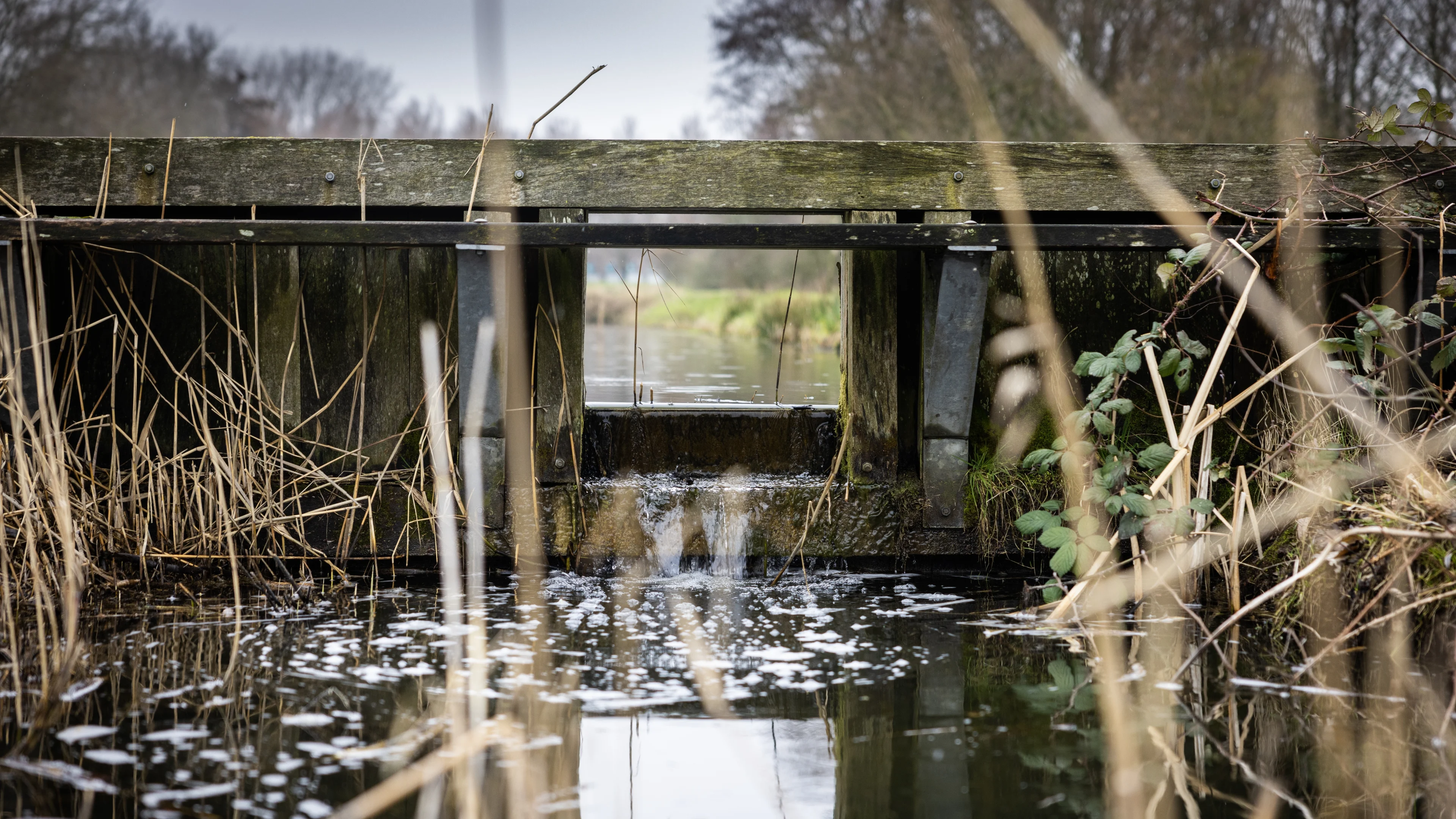 Kieshulp helpt bij onbekende waterschapsverkiezingen: dit is waarvoor we stemmen