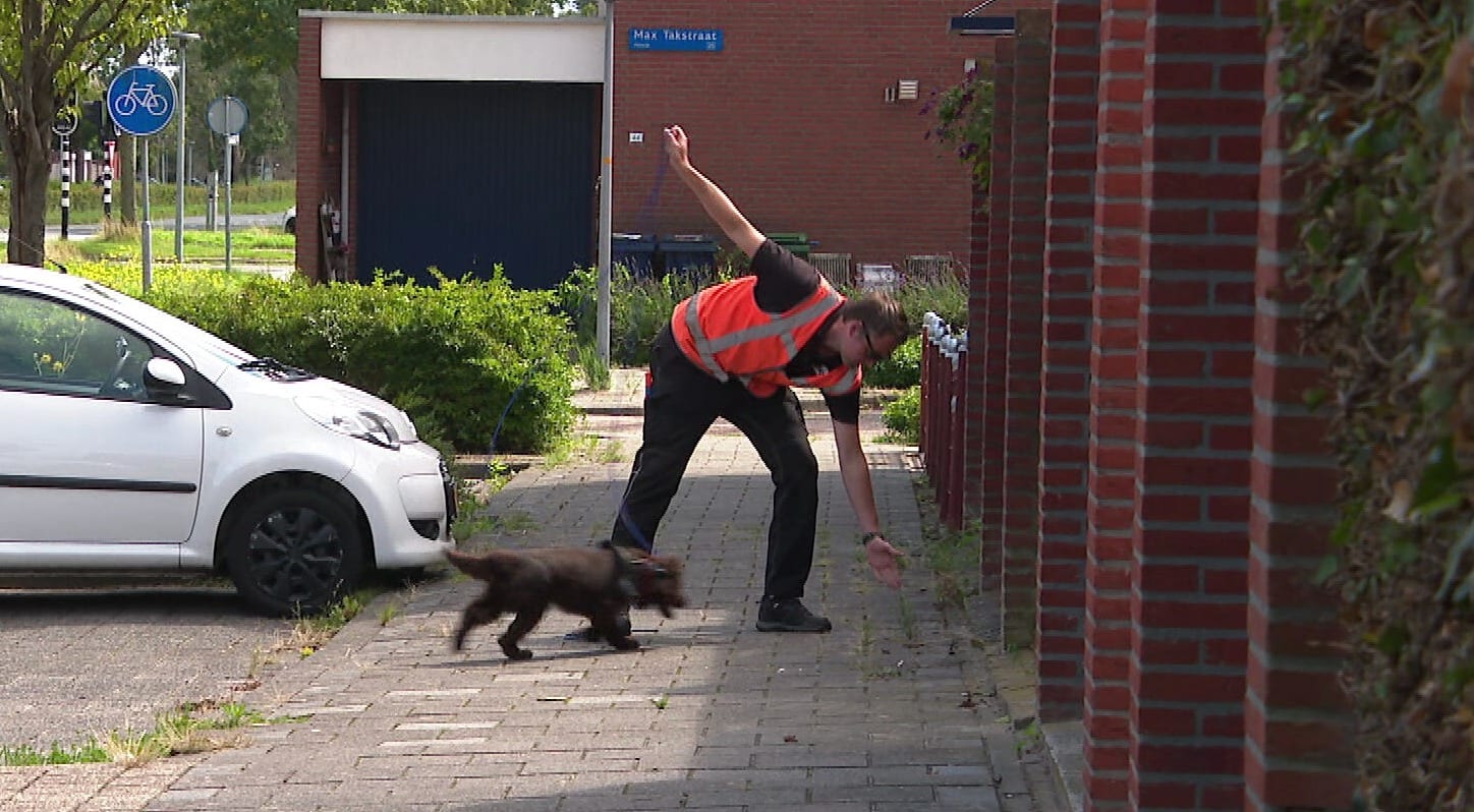 Unieke pilot: speurhonden vinden lekkages in stadsverwarmingsnetwerk