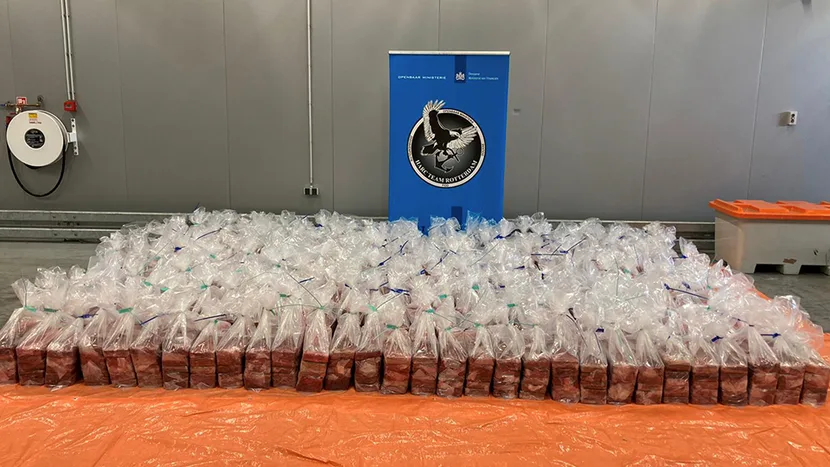 Weer een megadrugsvangst in haven van Rotterdam: meer dan tweeduizend kilo cocaïne