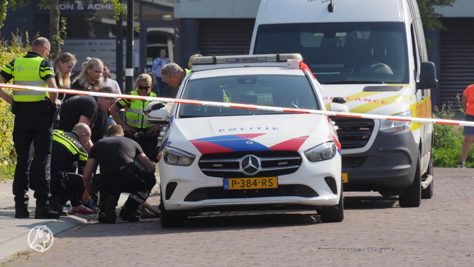 Politie schiet hond dood tijdens gevecht met kat in Assen