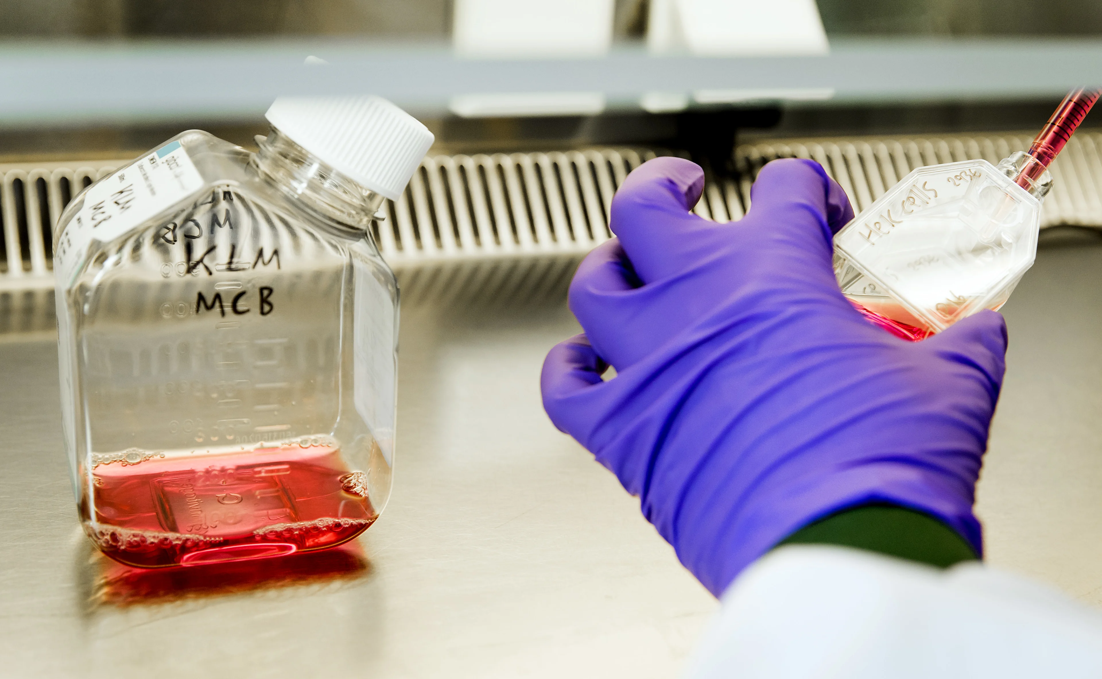 Bloedbank Sanquin gaat plasma inzamelen voor mogelijk geneesmiddel corona