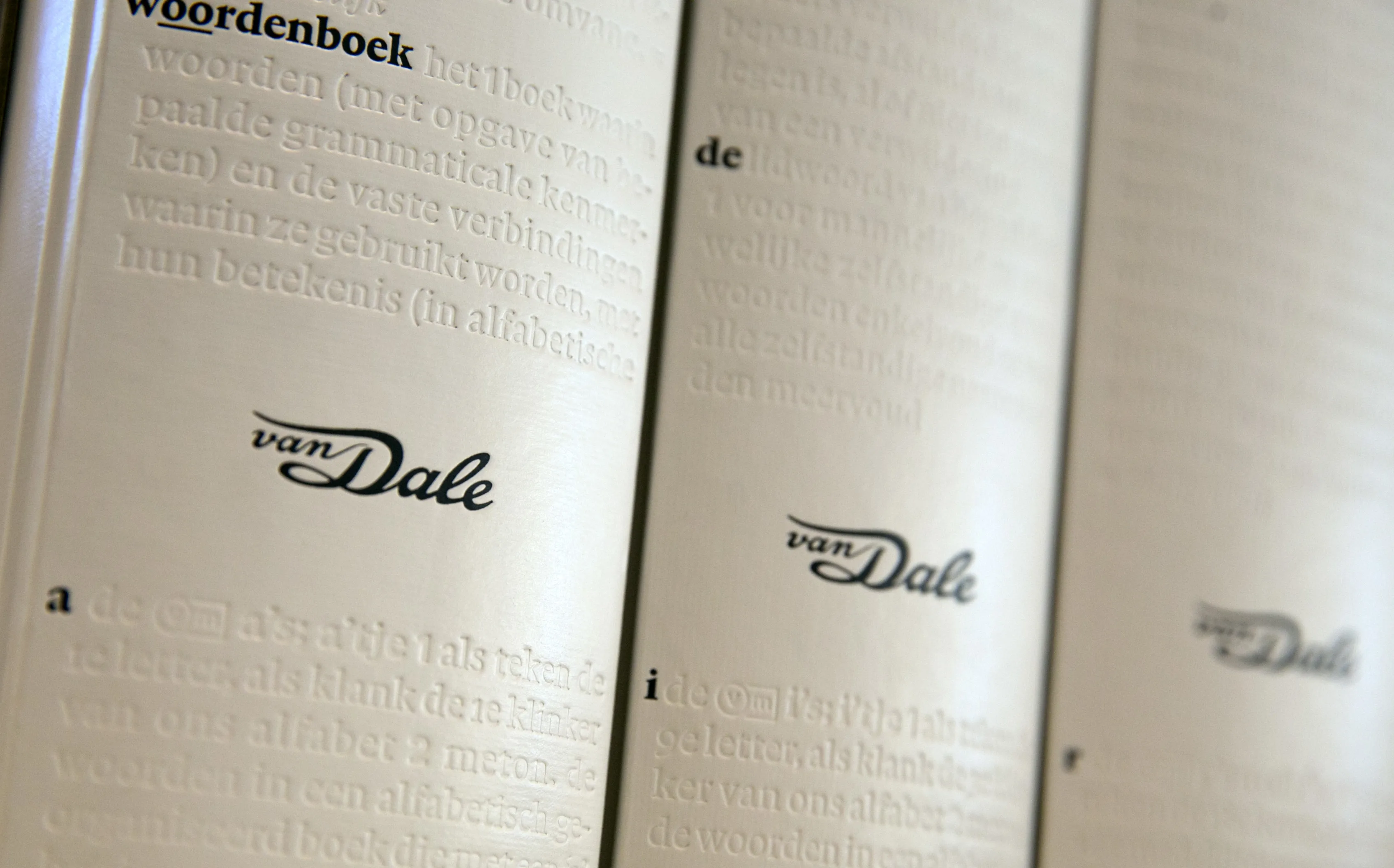 Van Dale: Woord van het Jaar ‘hallucineren’ kreeg door AI plots nieuwe betekenis