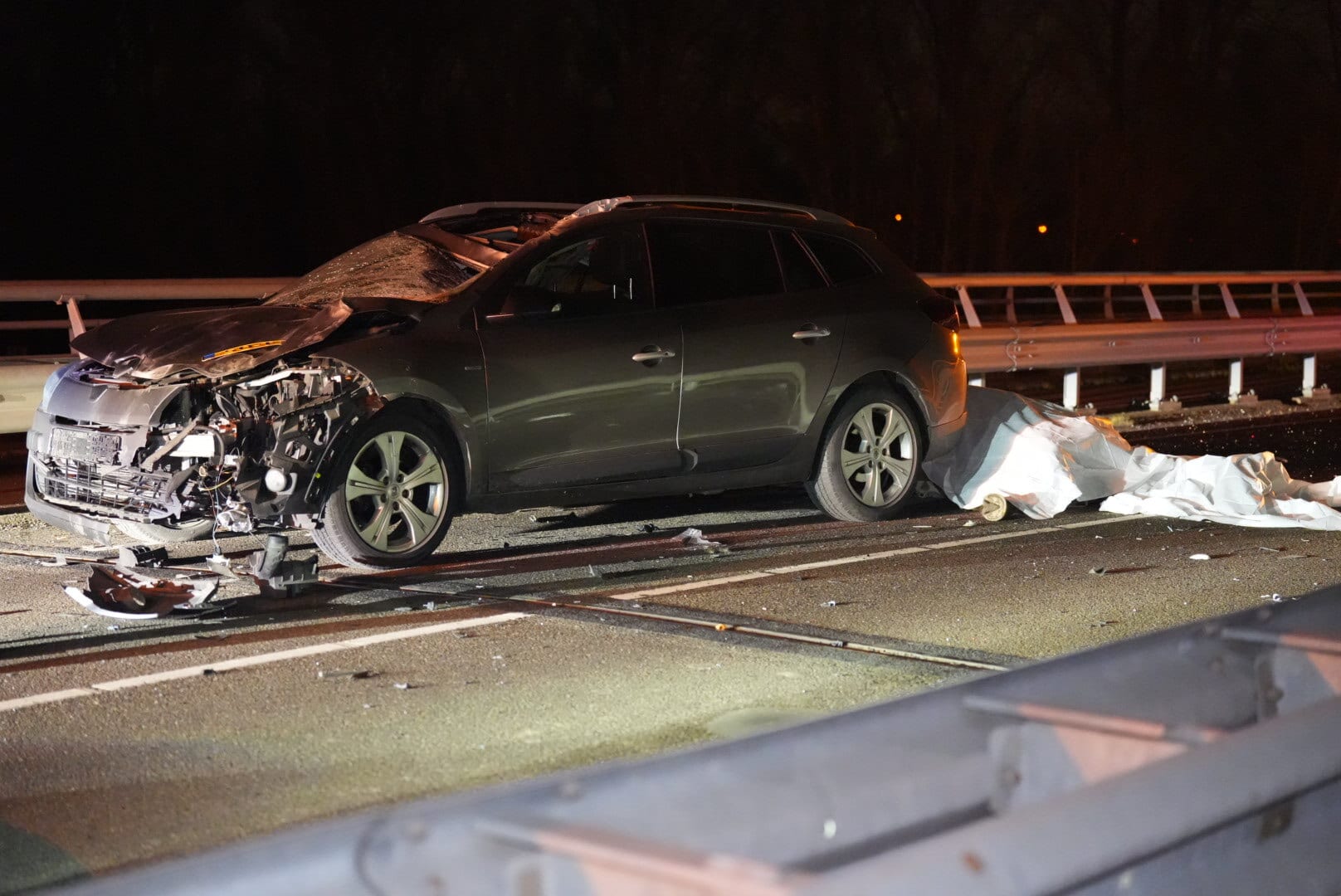 Paard overleden na frontale botsing met auto in Ressen