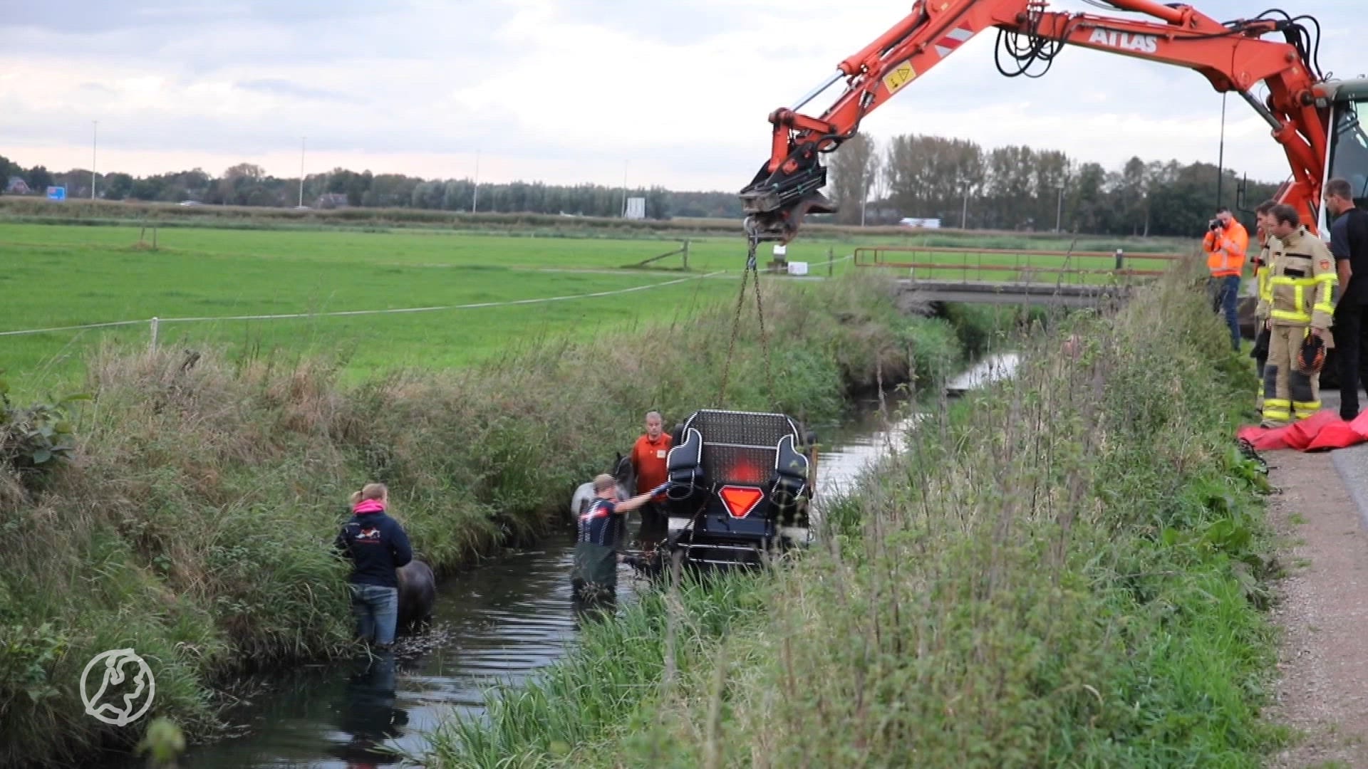 Pony's schrikken en halen met menwagen en al een nat pak