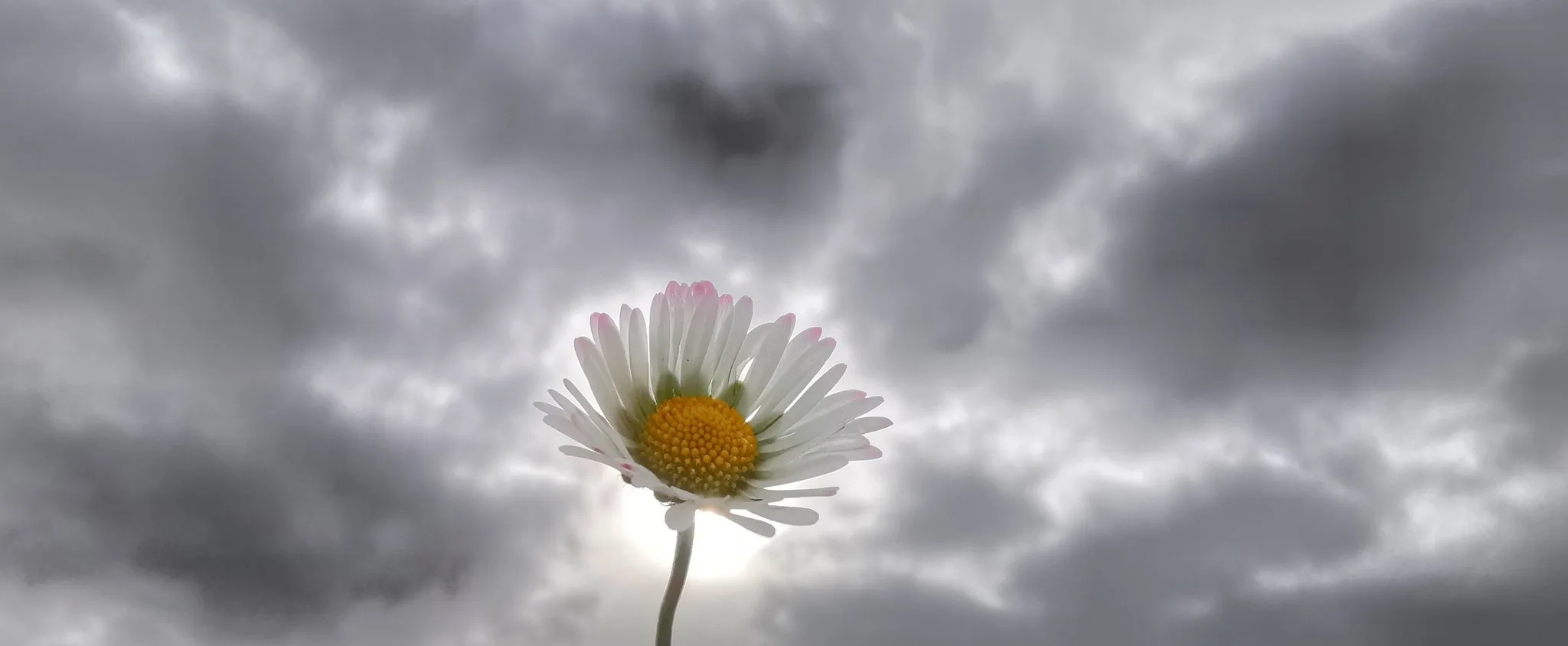 Deze week al zachter, volgende week richting de 20 graden