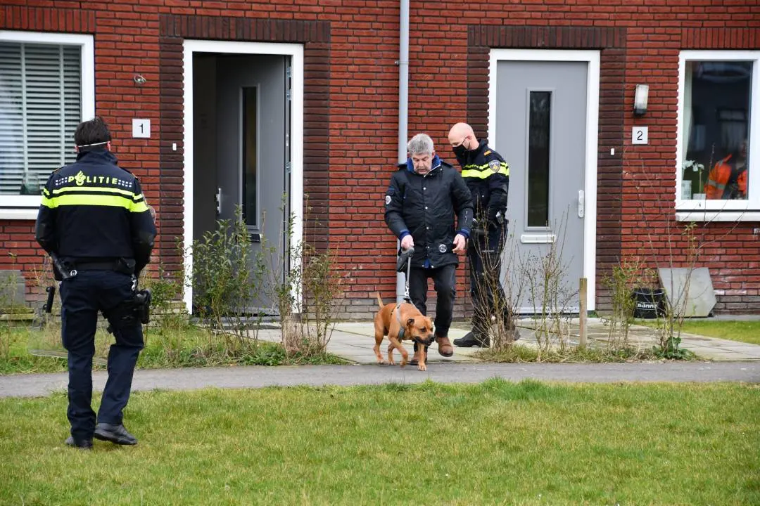 Hond die drie mensen verwondde in Terneuzen is afgemaakt