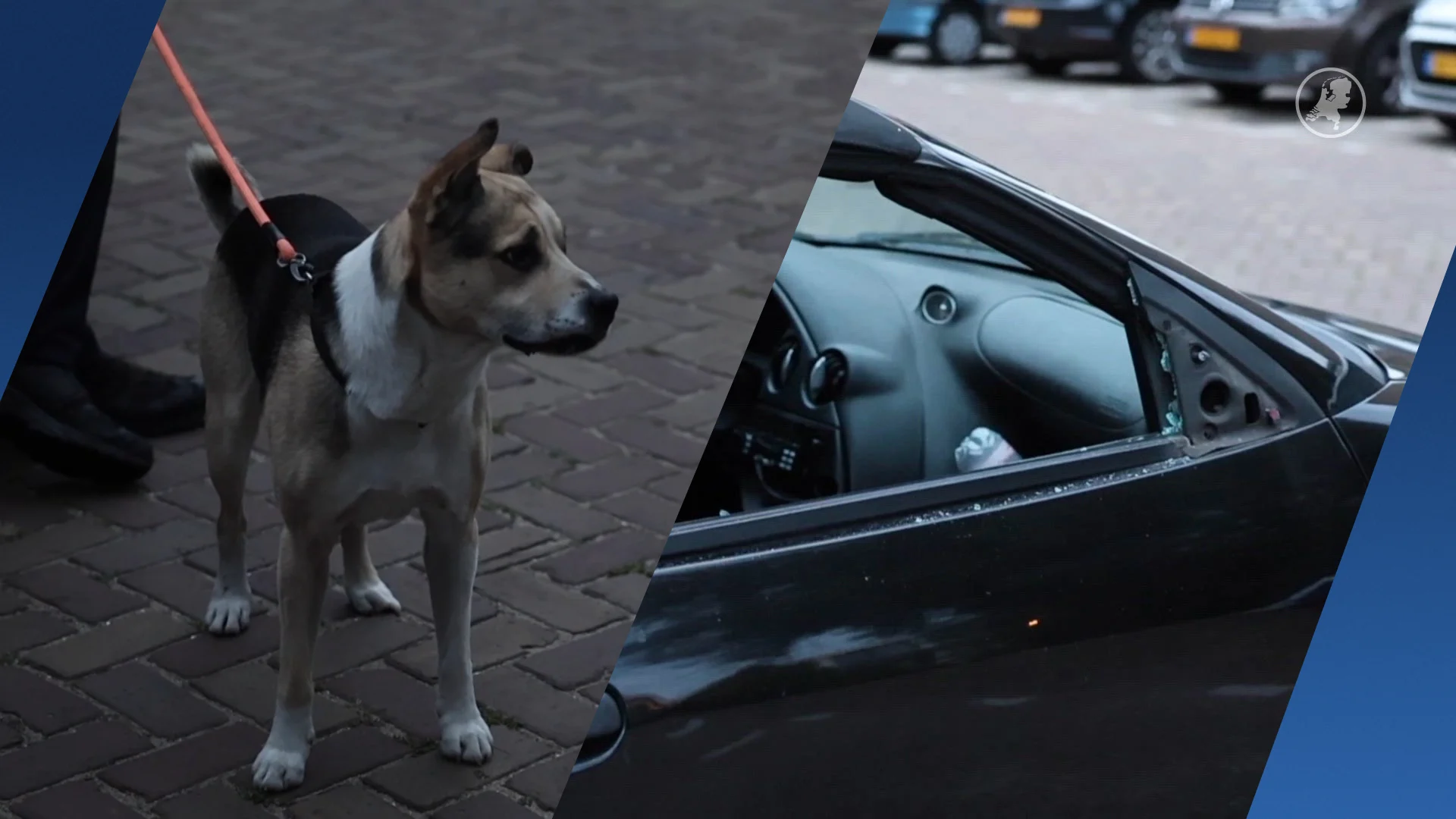 Blaffende hond opgesloten in auto houdt Hagenezen uit slaap: politie grijpt in
