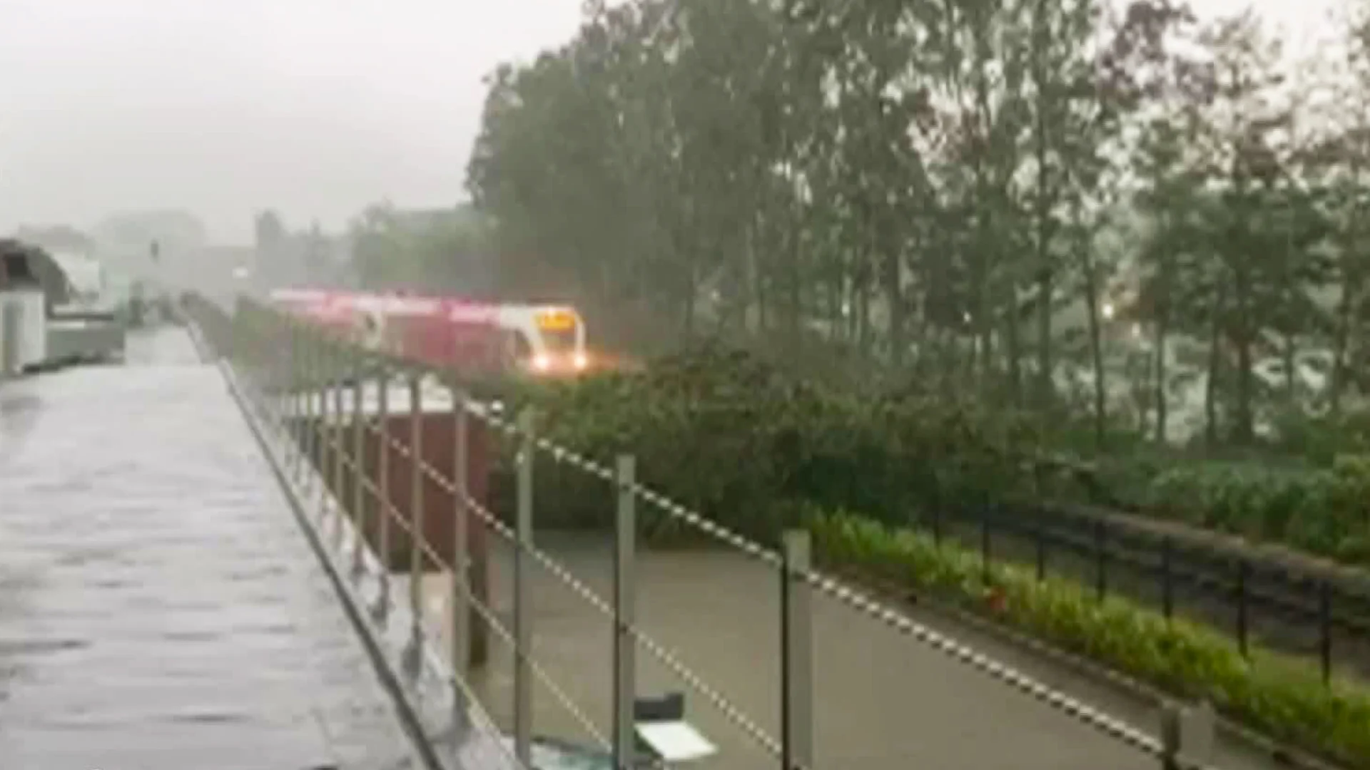 Boom op spoor in Terborg, machinist weet net op tijd drama te voorkomen