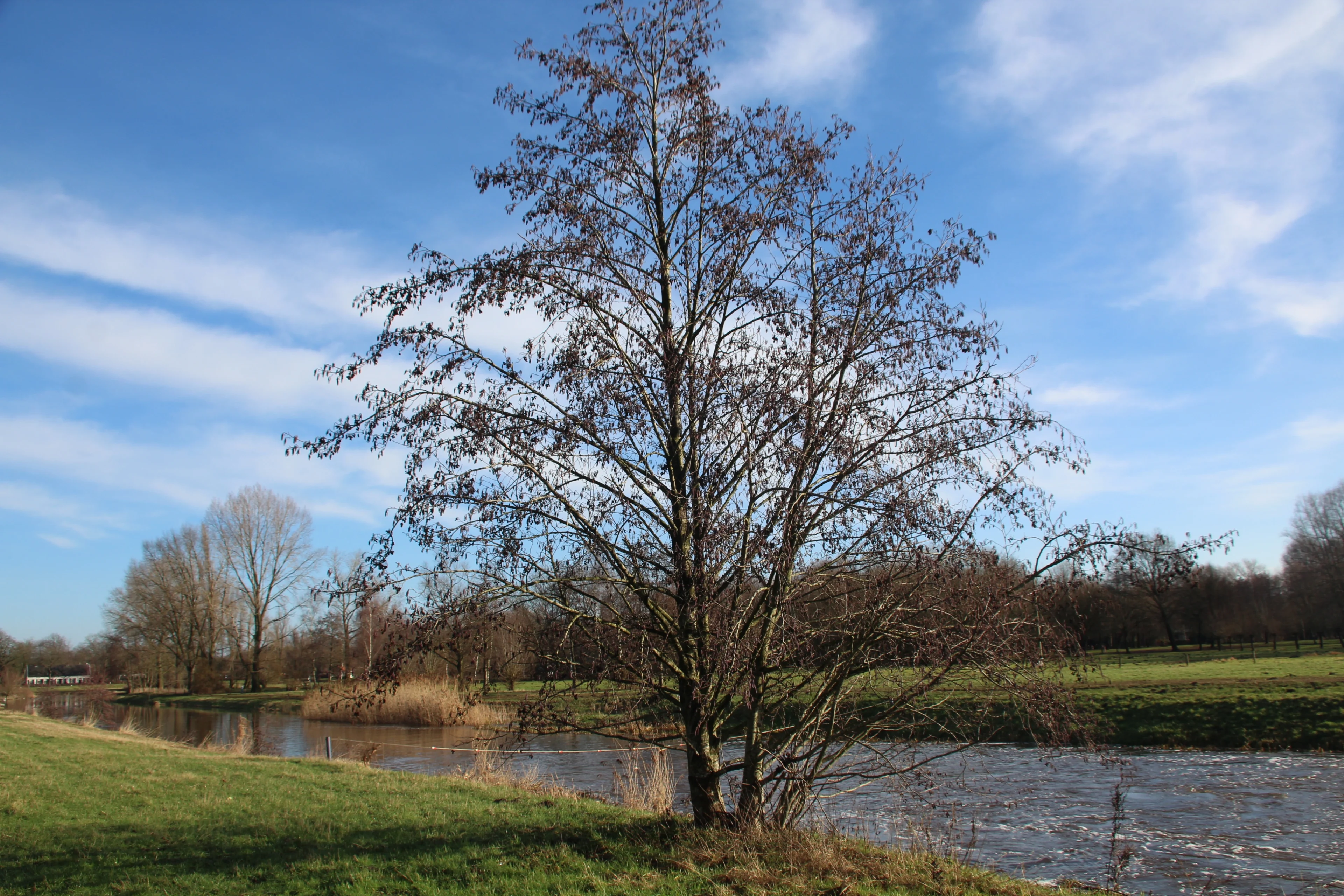Eindelijk weer ruimte voor de zon: dit weekend wisselvallig met veel regen