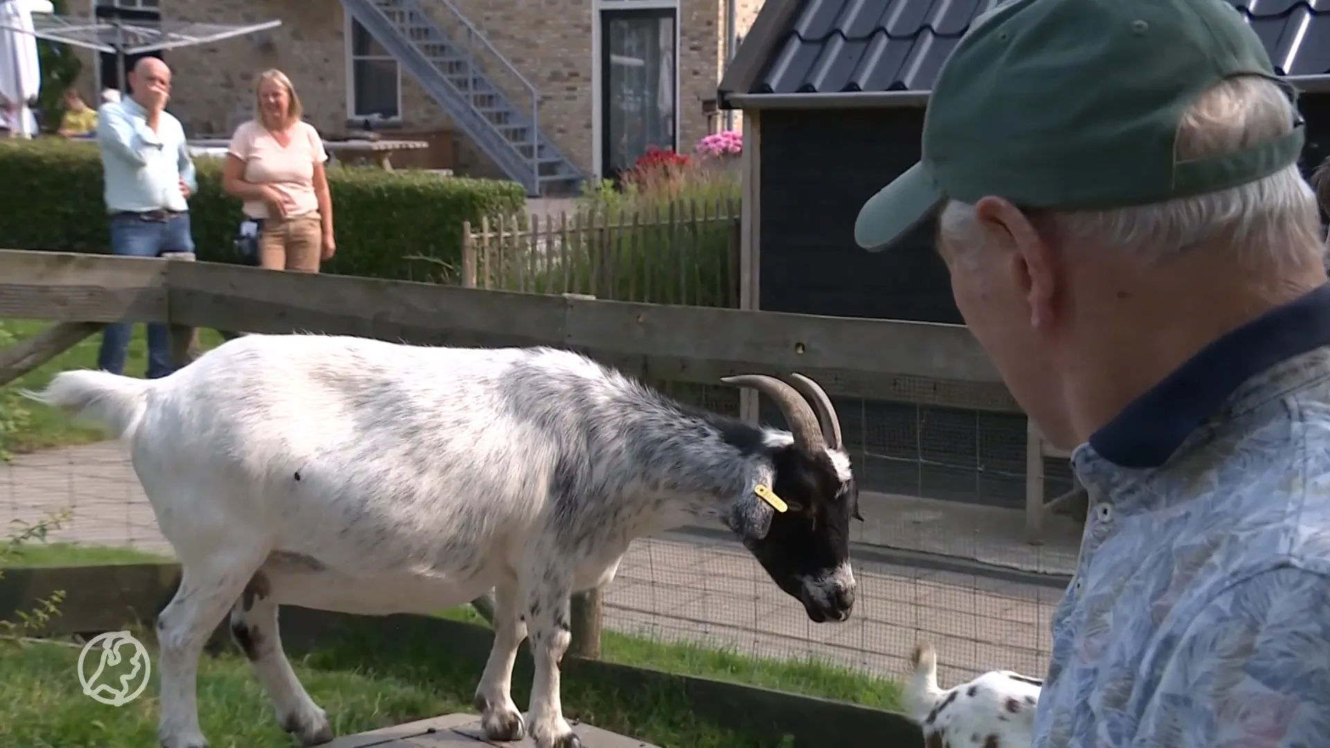 Zorgboerderijen een uitkomst voor mensen met dementie: 'Regie in eigen hand'