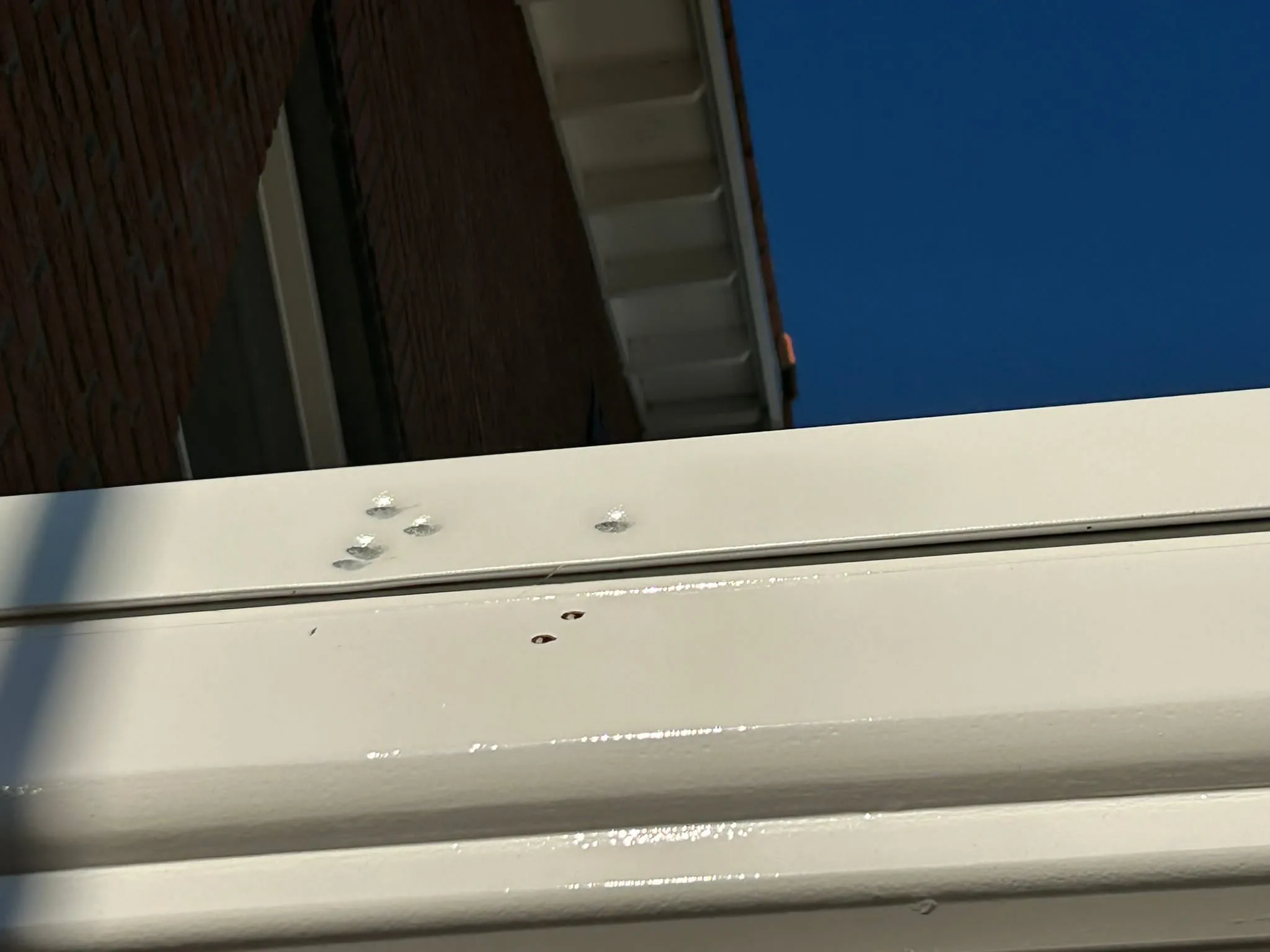 Asielhotel in Albergen beschoten, COA doet aangifte