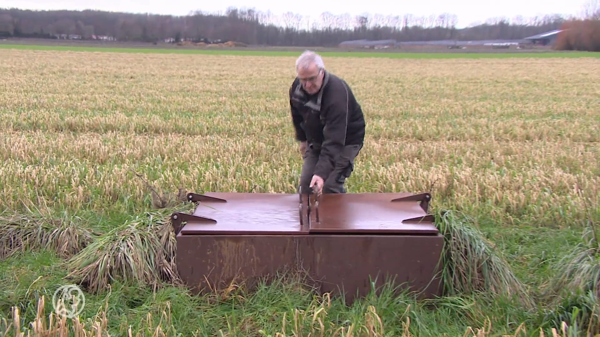 Niet iedereen baalt van de natste januari ooit: 'Deze zomer ga ik optimaal profiteren'