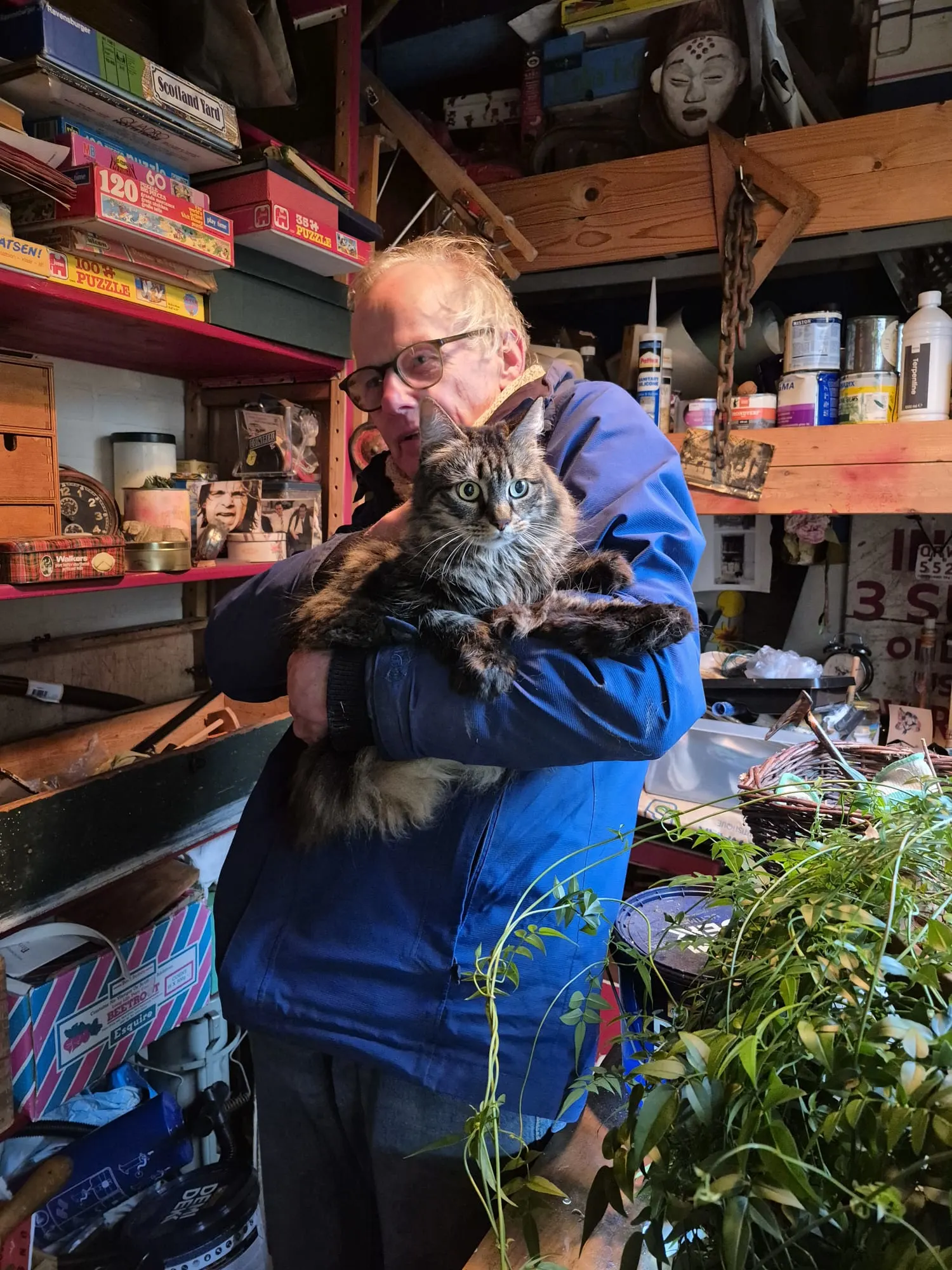 Alle vermiste katten na explosie Utrecht weer terecht: ook poes Cara is gevangen