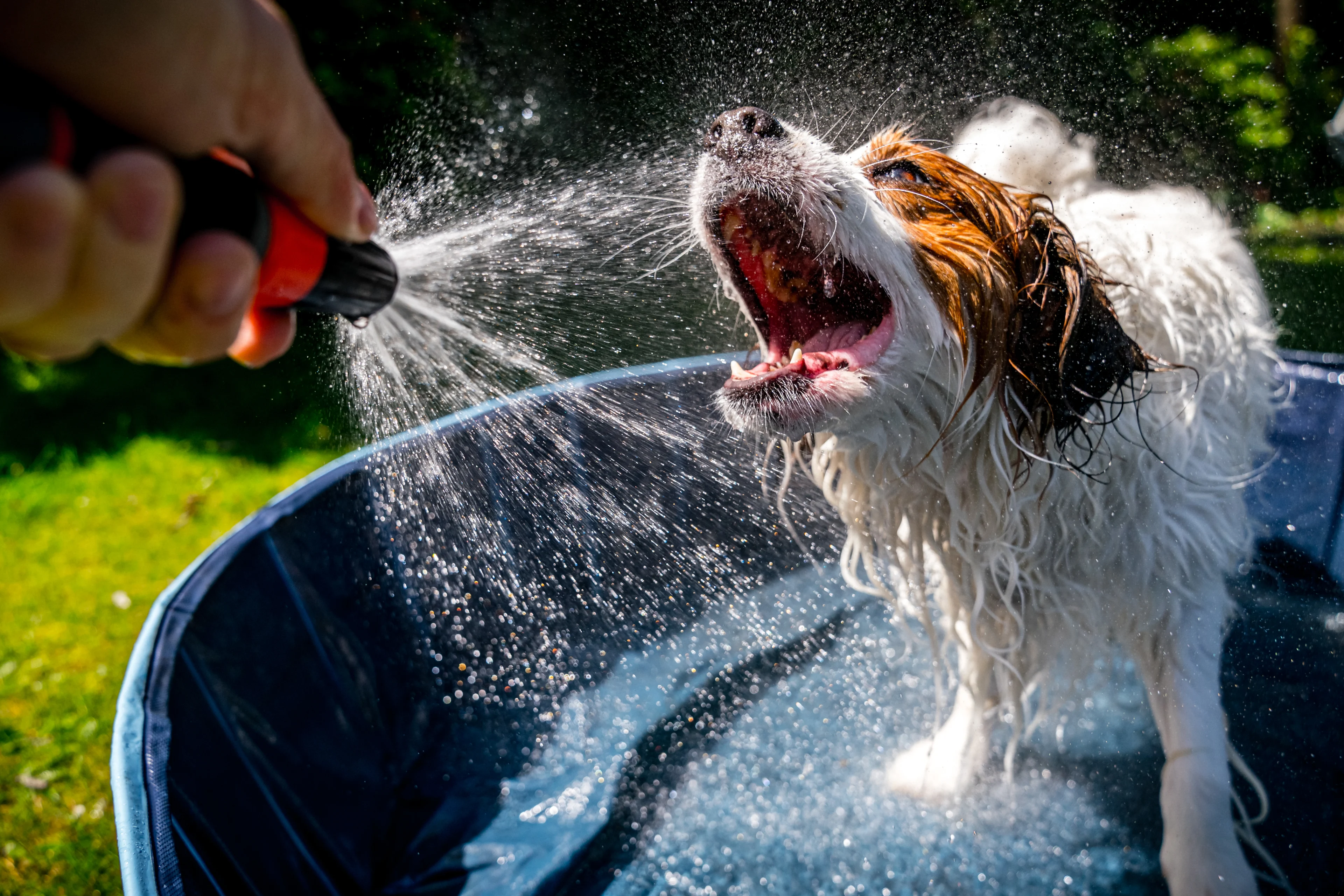 Het wordt overdag loeiheet, maar vanavond gaat het spoken