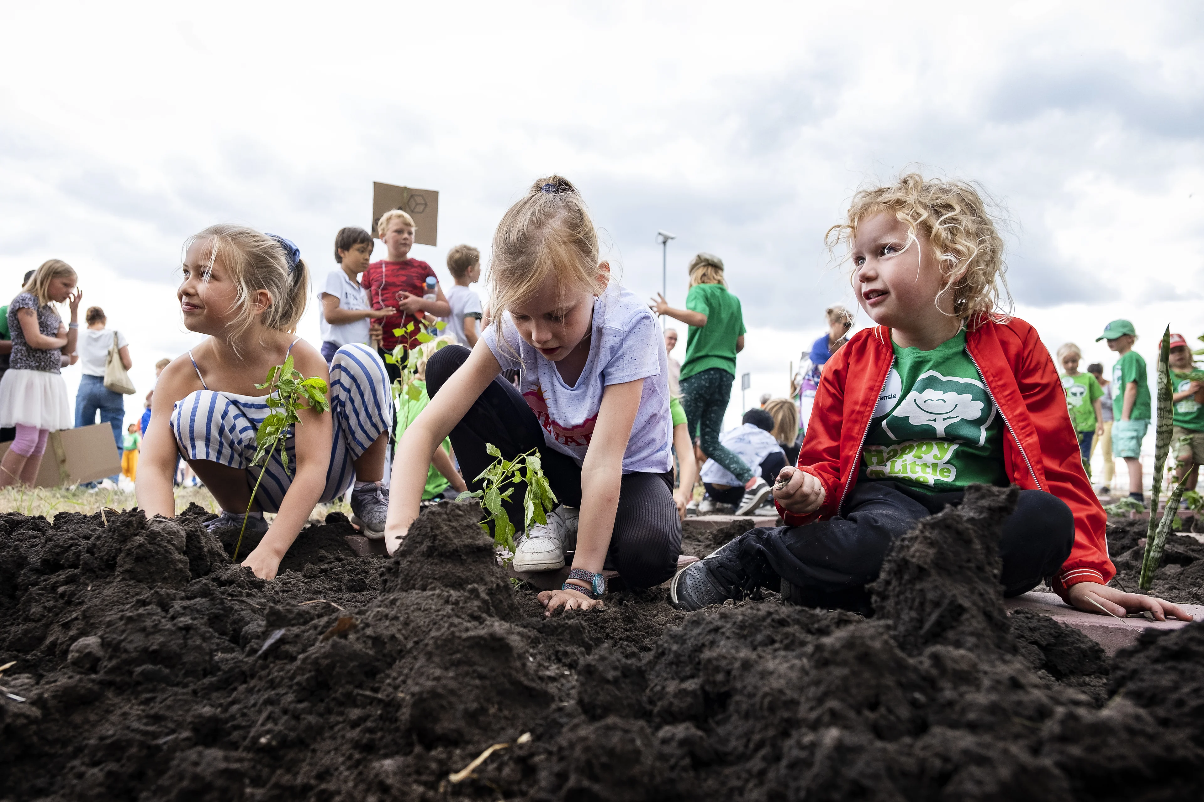 Waar zijn de geplante protest-stekjes bij Vattenfall?