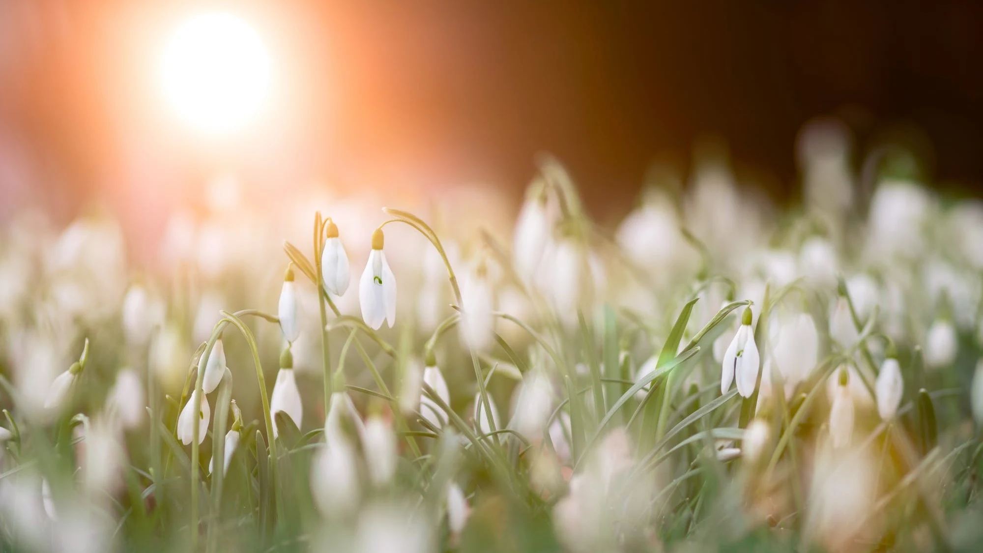 Dit jaar moeten we 110 dagen wachten op die eerste warme dag, en dat is een record