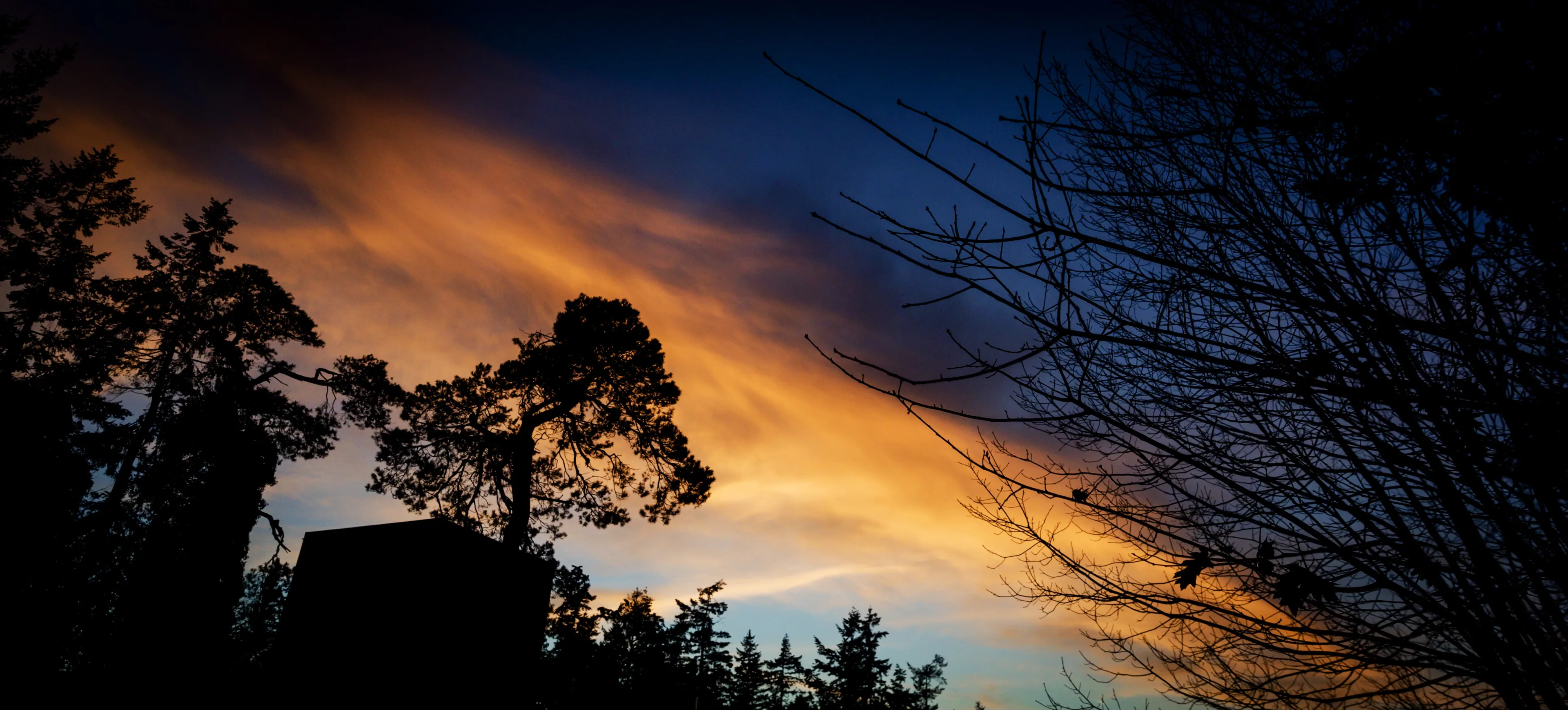 Bijzonder kleurrijk en zeldzaam weersverschijnsel waarschijnlijk in januari te zien