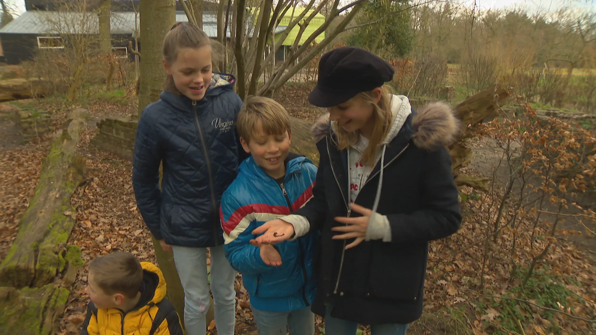 Natuur heeft positief effect op gezondheid en ontwikkeling van kinderen