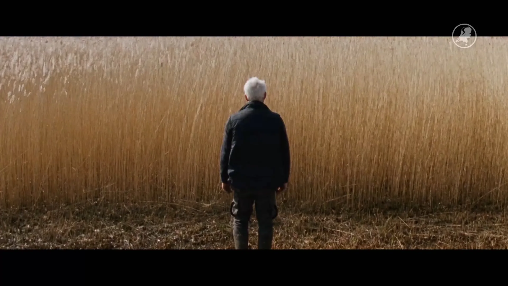 Rietsnijder Gerrit (61) uit Belt-Schutsloot wordt onverwachts filmster