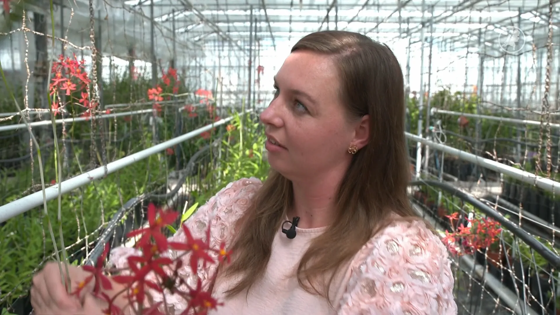 Franka gaat met haar creaties voor de wereldtitel bloemschikken