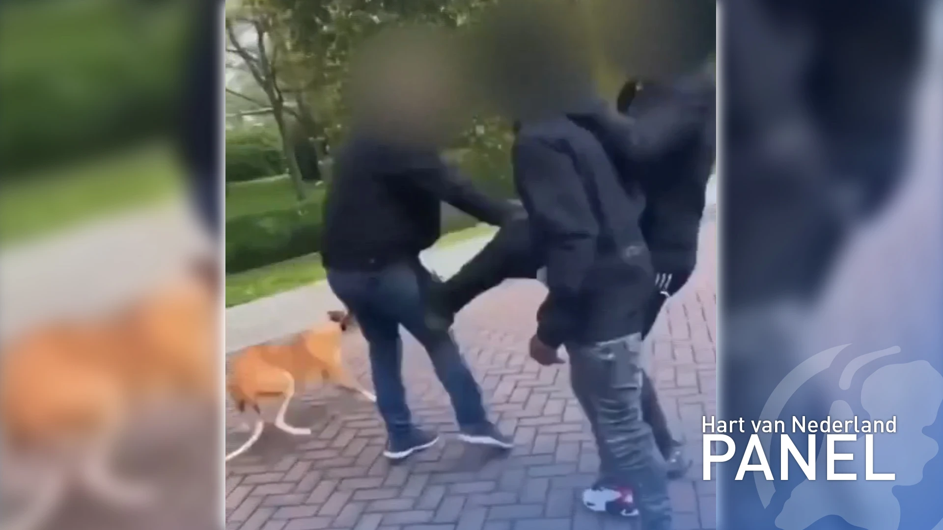 Panel: 75 procent wil delen mishandelingsfilmpjes straffen