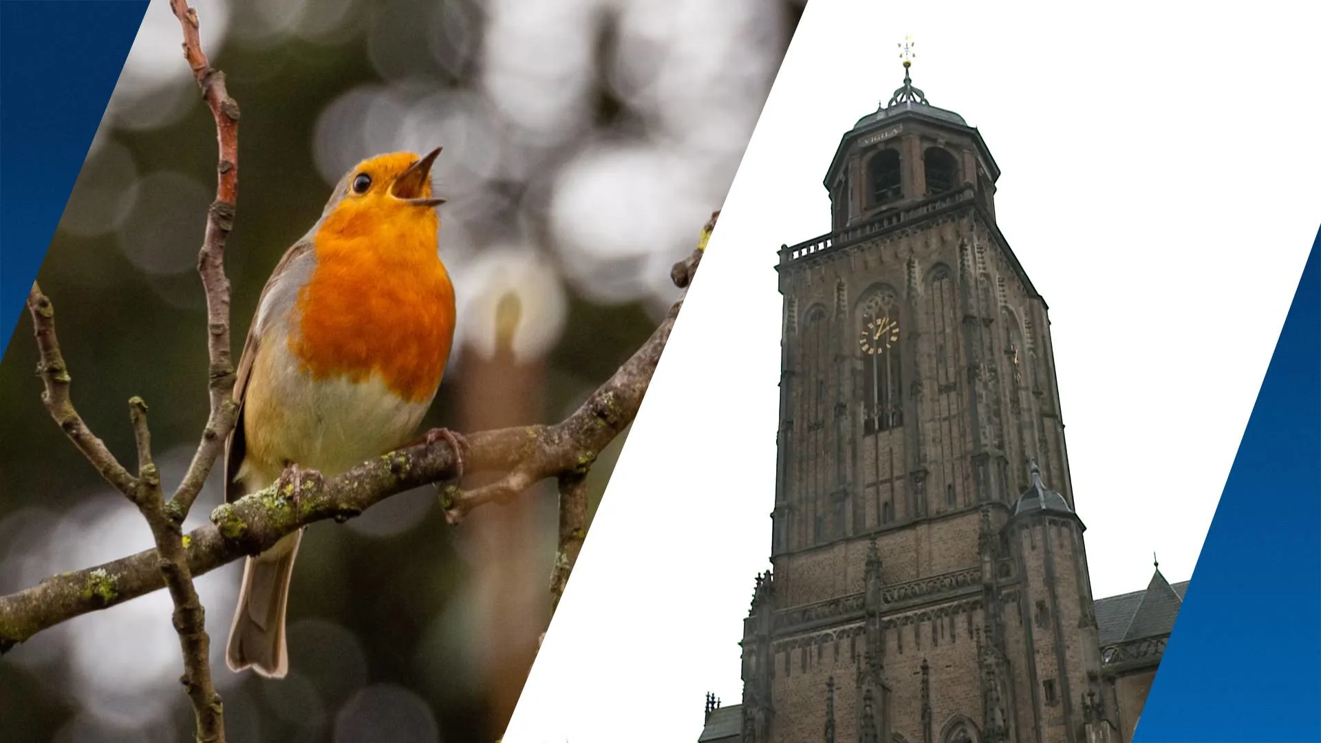 Dit is waarom je deze dagen vogelmuziek uit kerktorens hoort