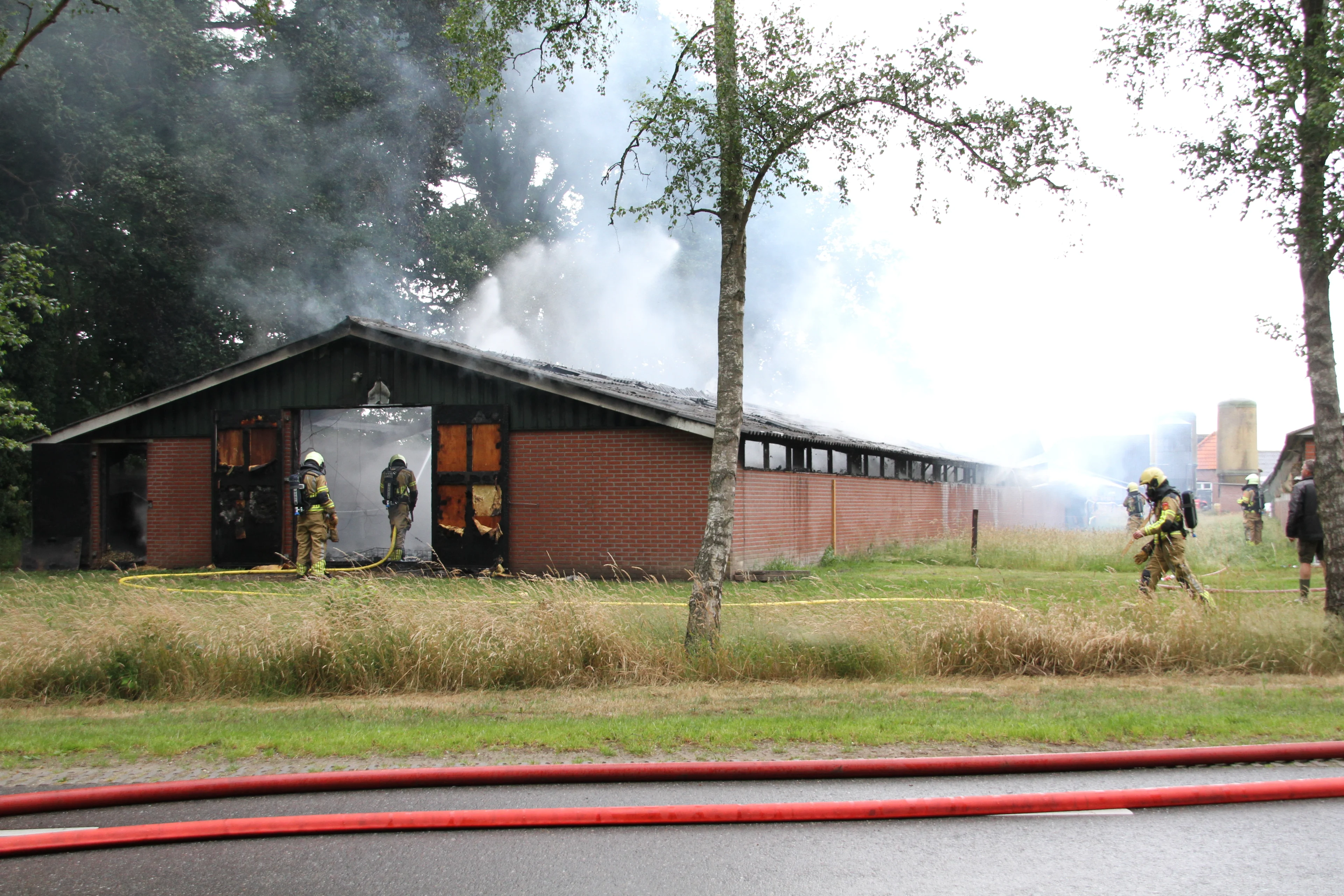 Duizenden eendenkuikens omgekomen bij grote stalbrand in Markelo