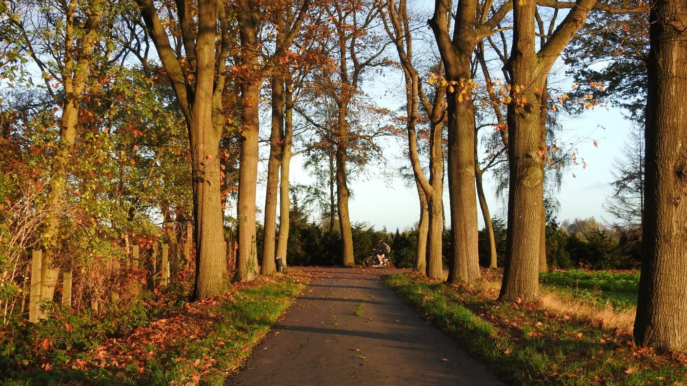 Winterweer blijft ook volgende week nog uit: kans op datumrecords