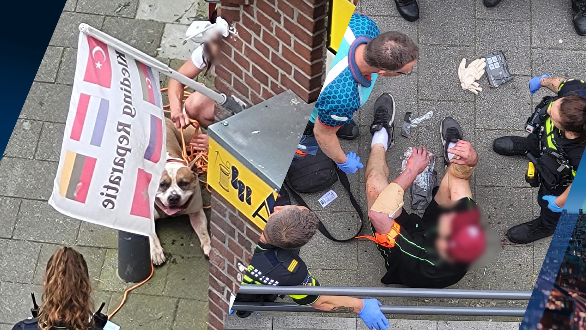 Hond valt baasje aan bij uit de hand gelopen ruzie met partner in Rotterdam