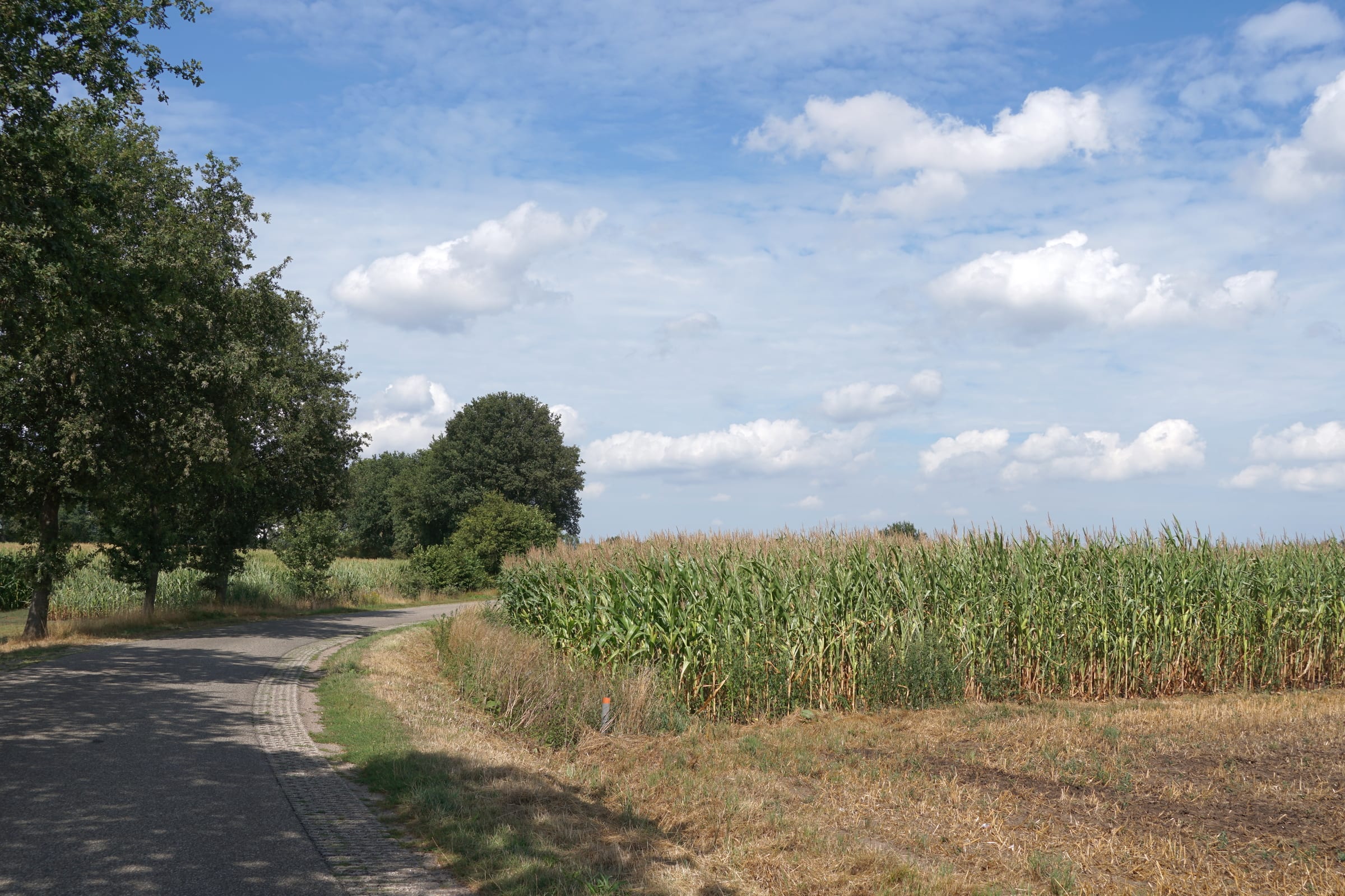 Tropische temperaturen blijven hangen, voorlopig geen regen