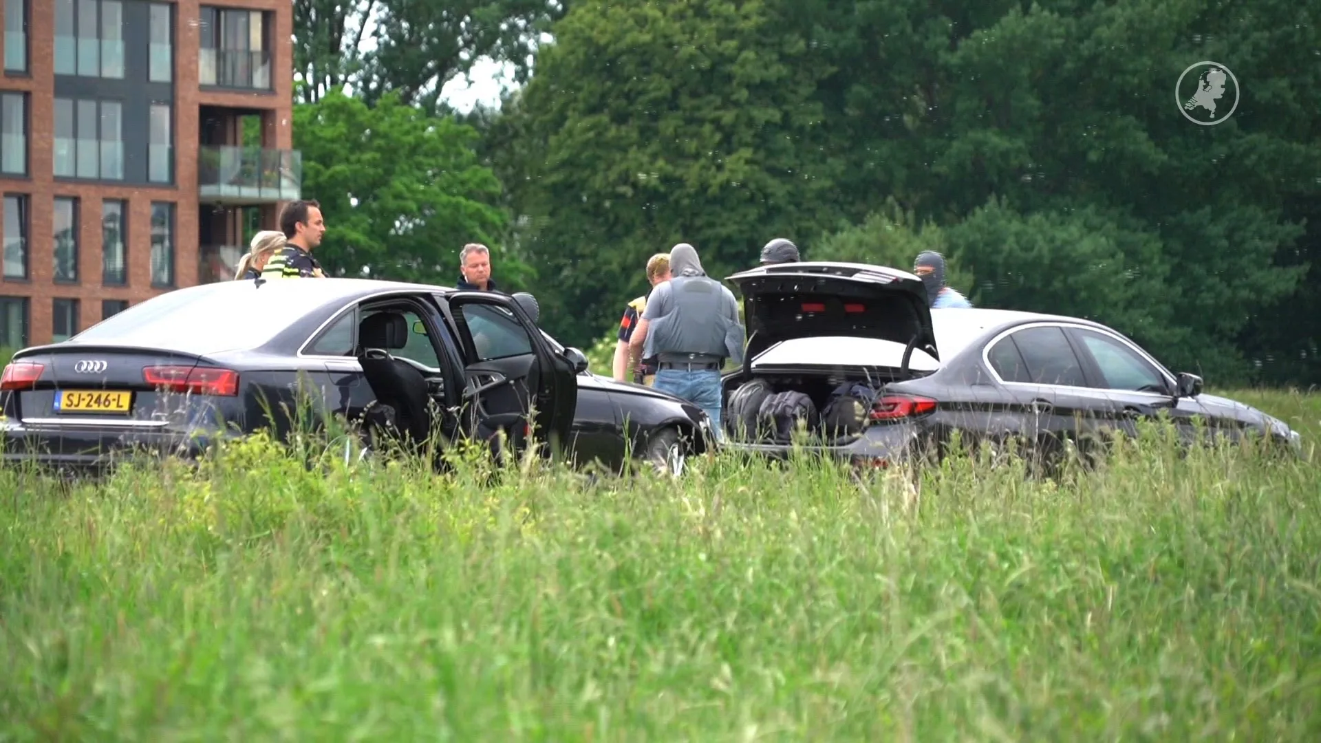 Net vrijgelaten man zet supermarkt op stelten en klimt in boom