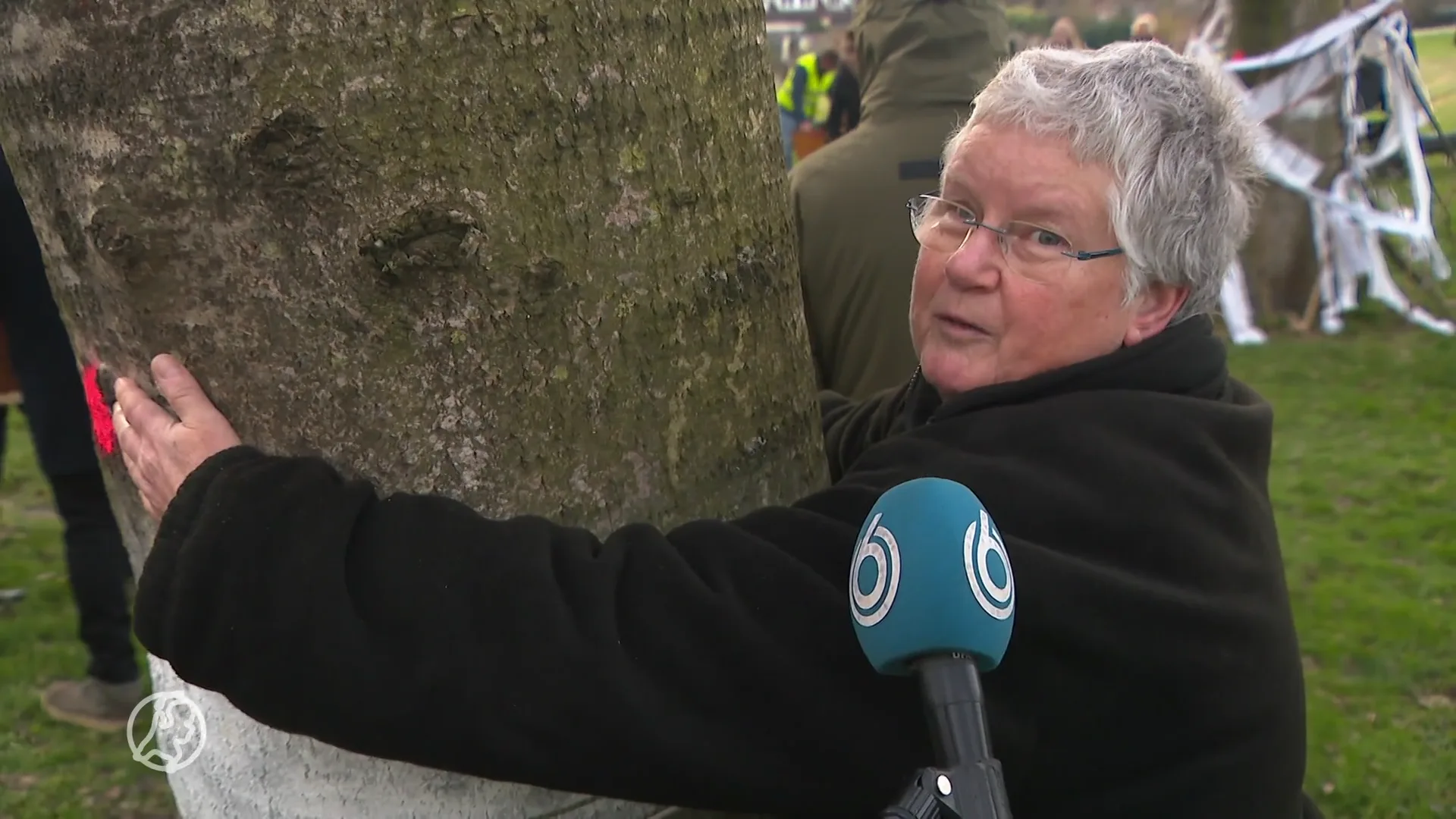 Een begrafenis voor bomen: Almere houdt rouwmanifestatie om bomenkap