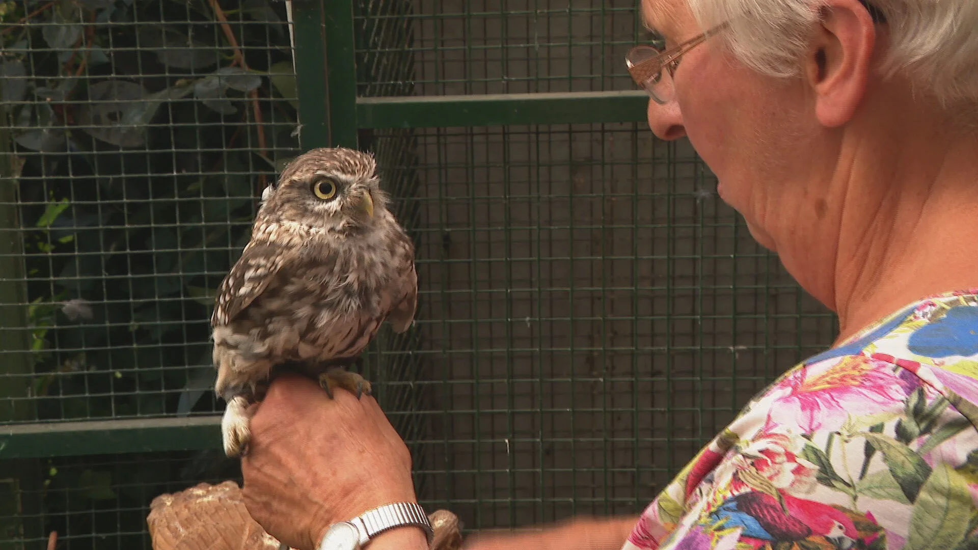 Wilma rijdt iedere dag met uil Juulke op het stuur: 'Soms wel twintig kilometer'