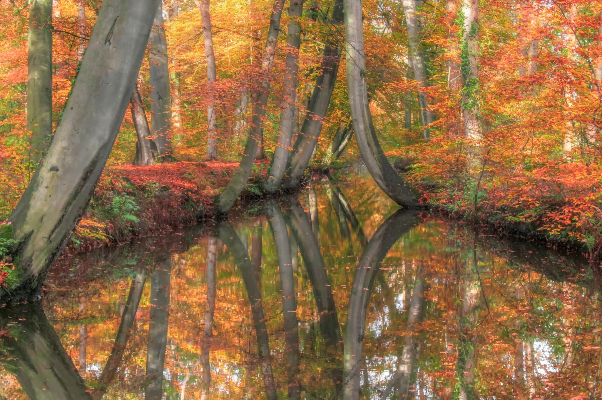 Frisse herfstdag met later meer bewolking en buien