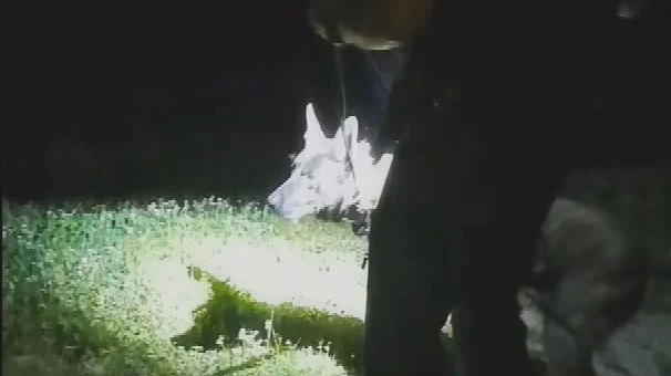 Politiehond Duco verricht heldendaad bij verkeersruzie: 'Wauw, wat een baas!'