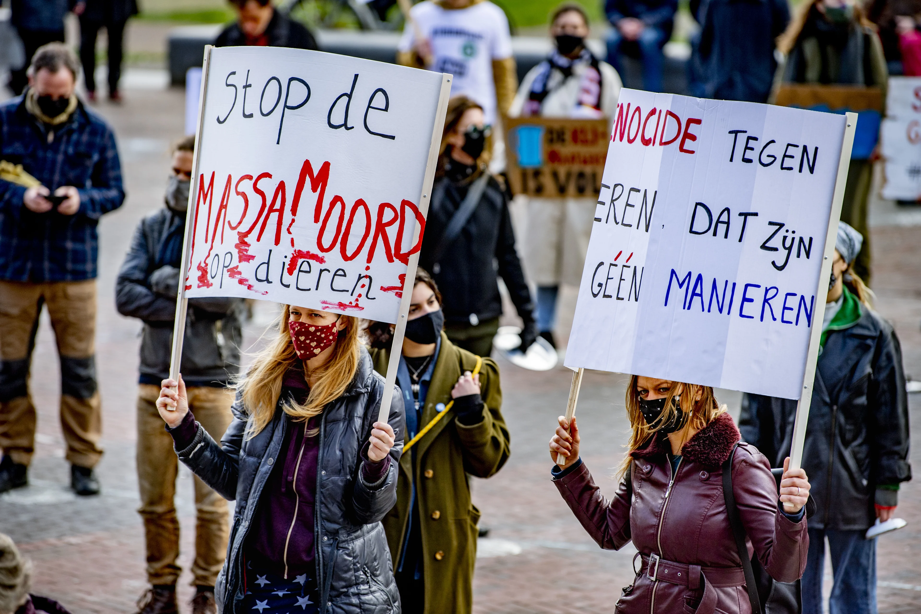 Man (24) wilde mensen neerschieten bij klimaatprotest bij Jaarbeurs in Utrecht