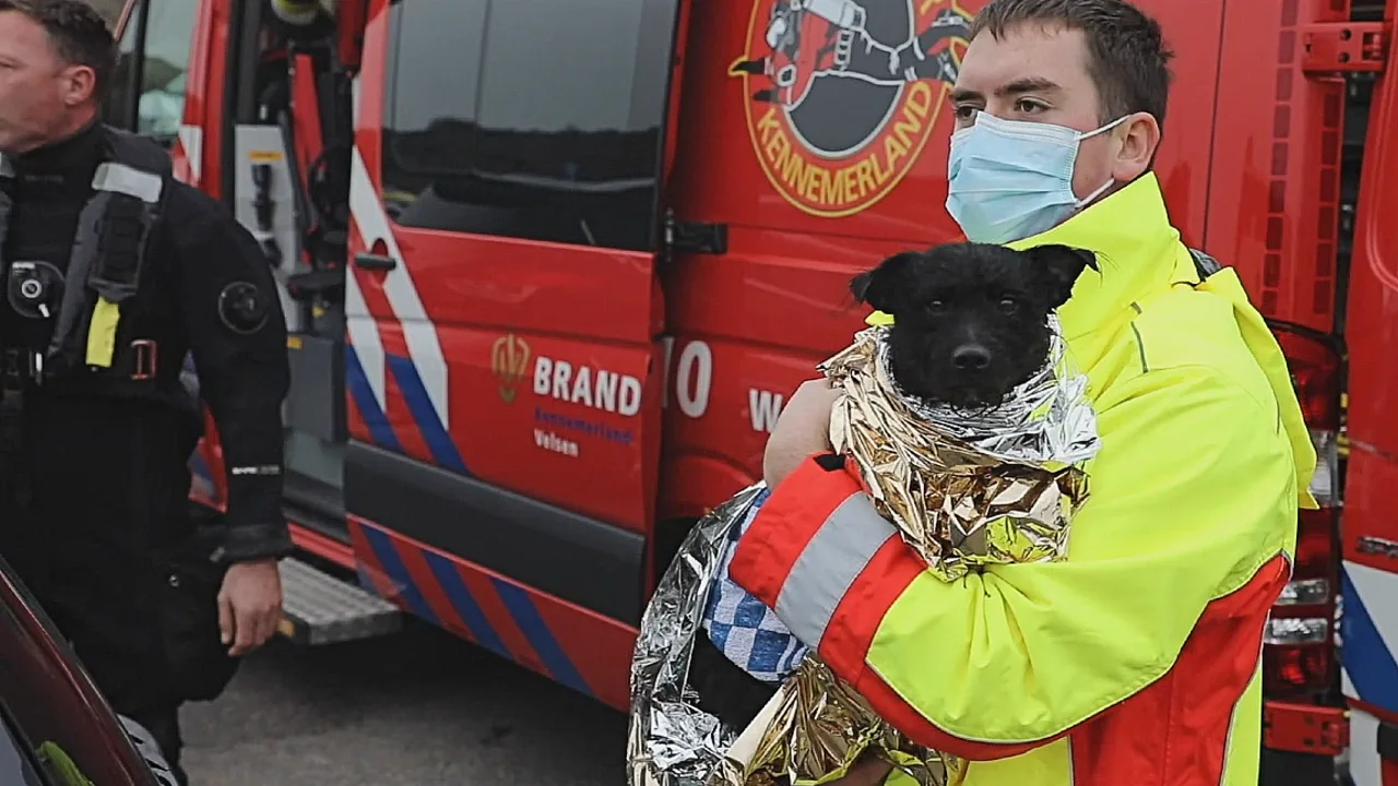 Man springt hondje achterna in koude water bij IJmuiden en belandt in ziekenhuis