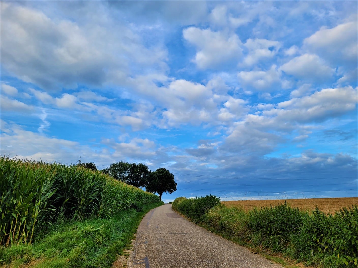 Weerbericht: zon en bewolking wisselen elkaar af vandaag