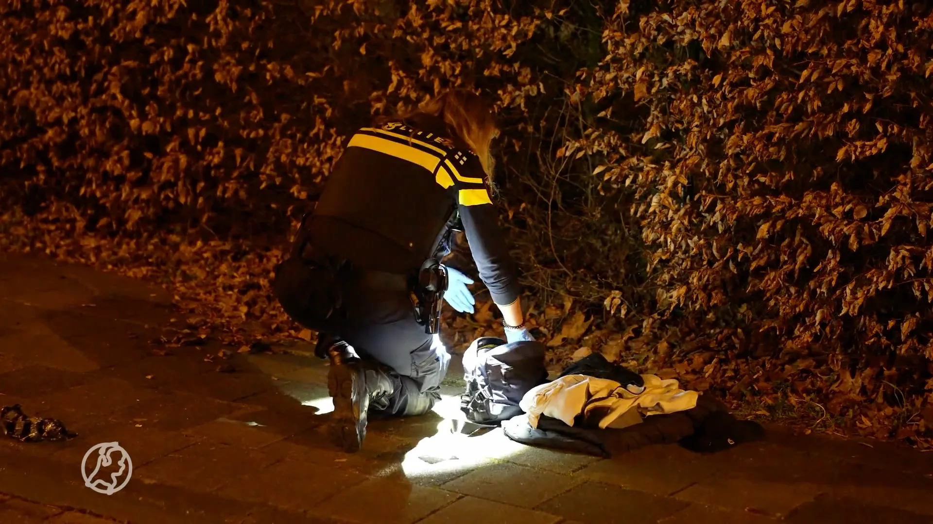 Twee verdachten vast om neerschieten jongen (15) in Den Bosch