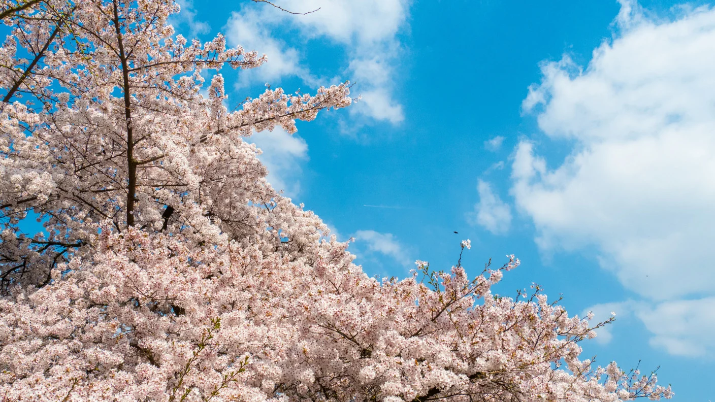 Opnieuw een zonnig lenteweekend, maar met wat wolkenvelden