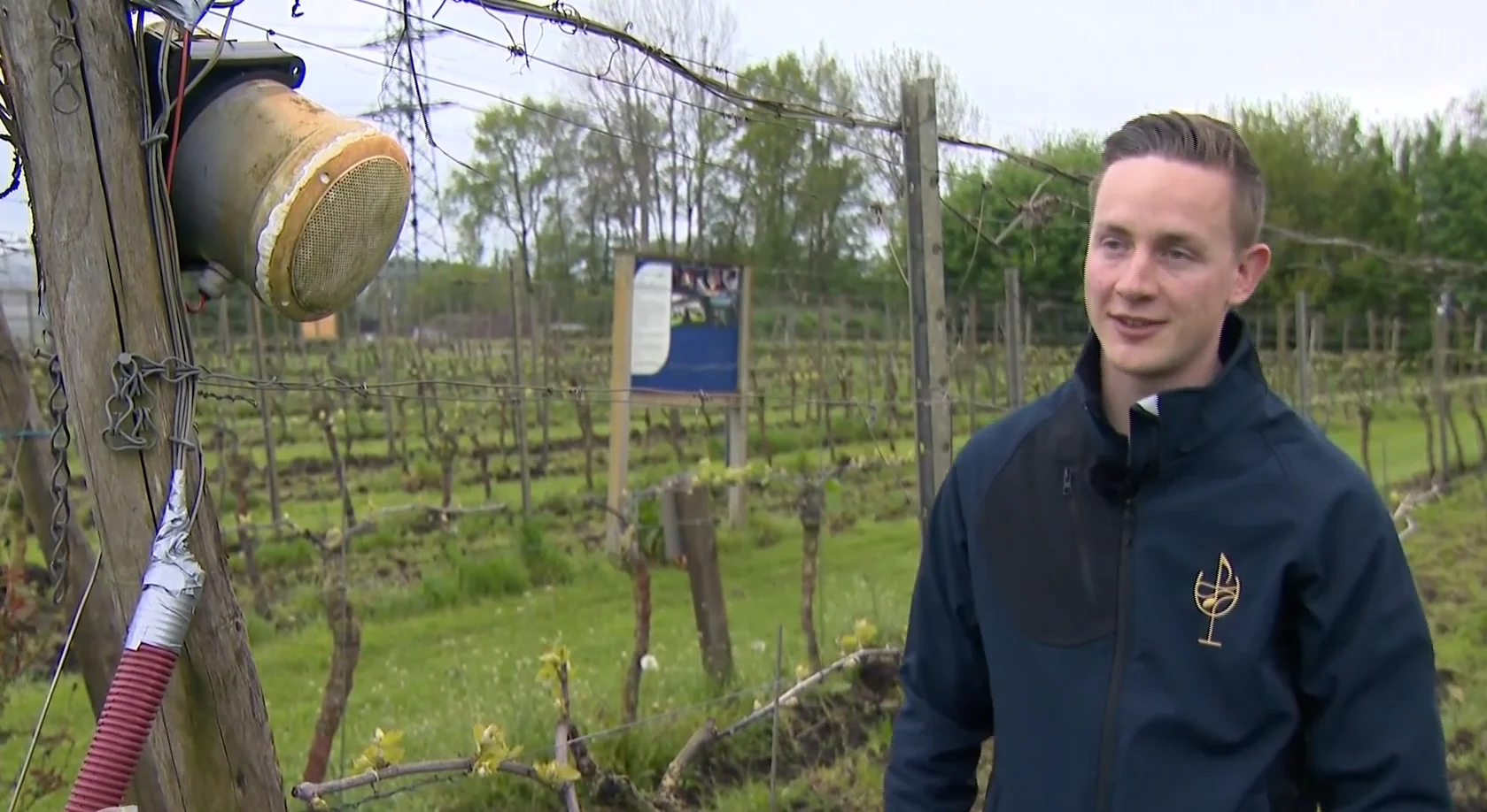 Bach en Mozart laten de druiven van wijnboer Bas extra goed smaken: 'Het is echt bizar'