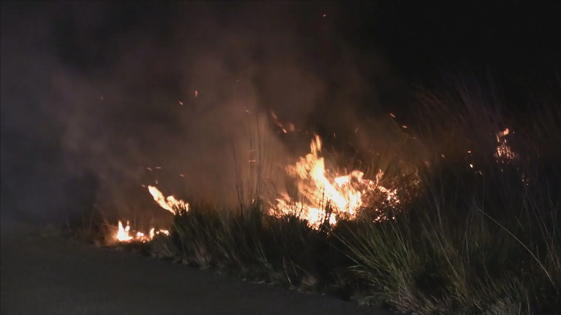 Brand verwoest groot stuk heide tussen Nijverdal en Holten