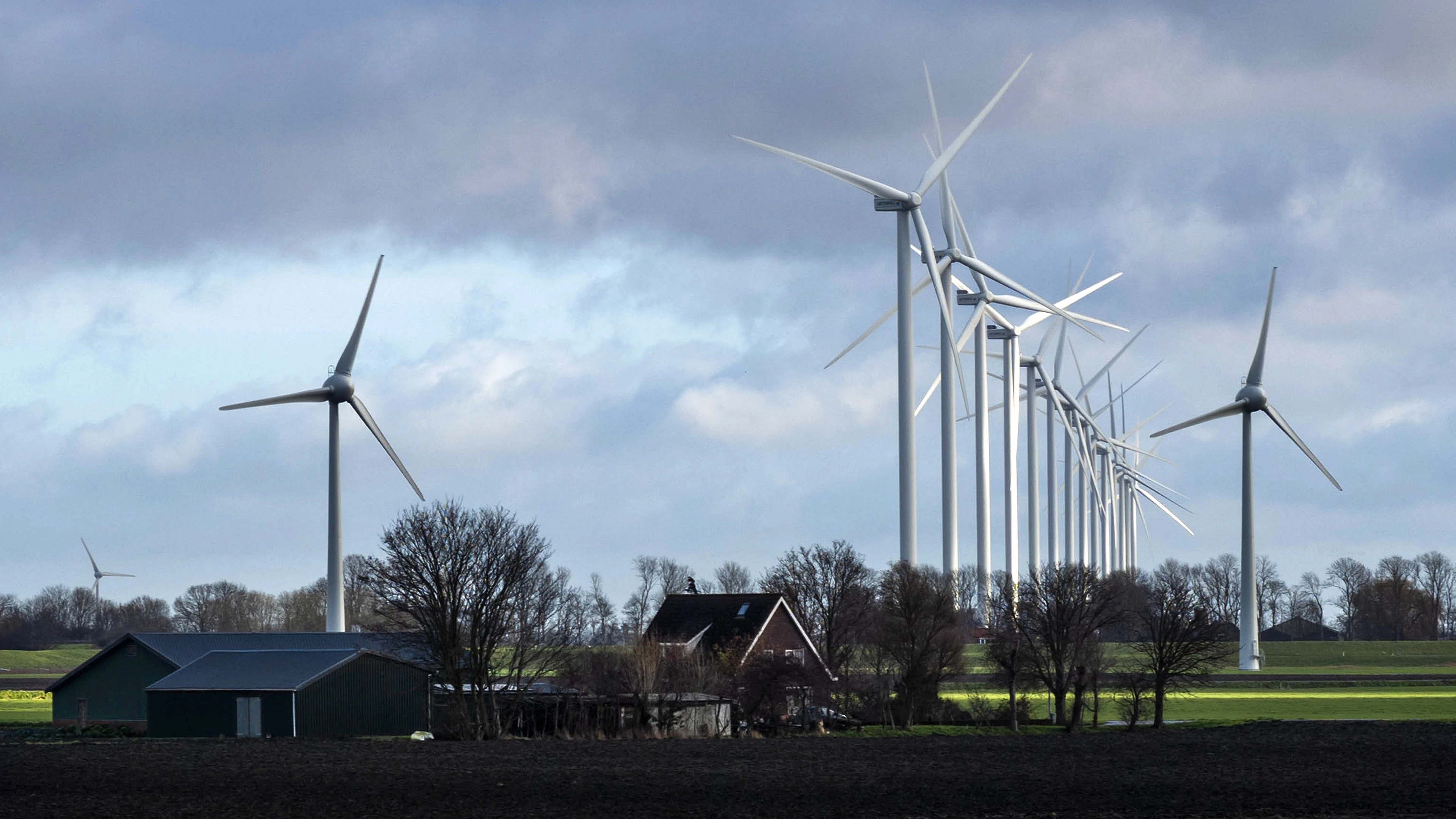 Harde wind luidt herfstachtige en zeer zachte kerstdagen in