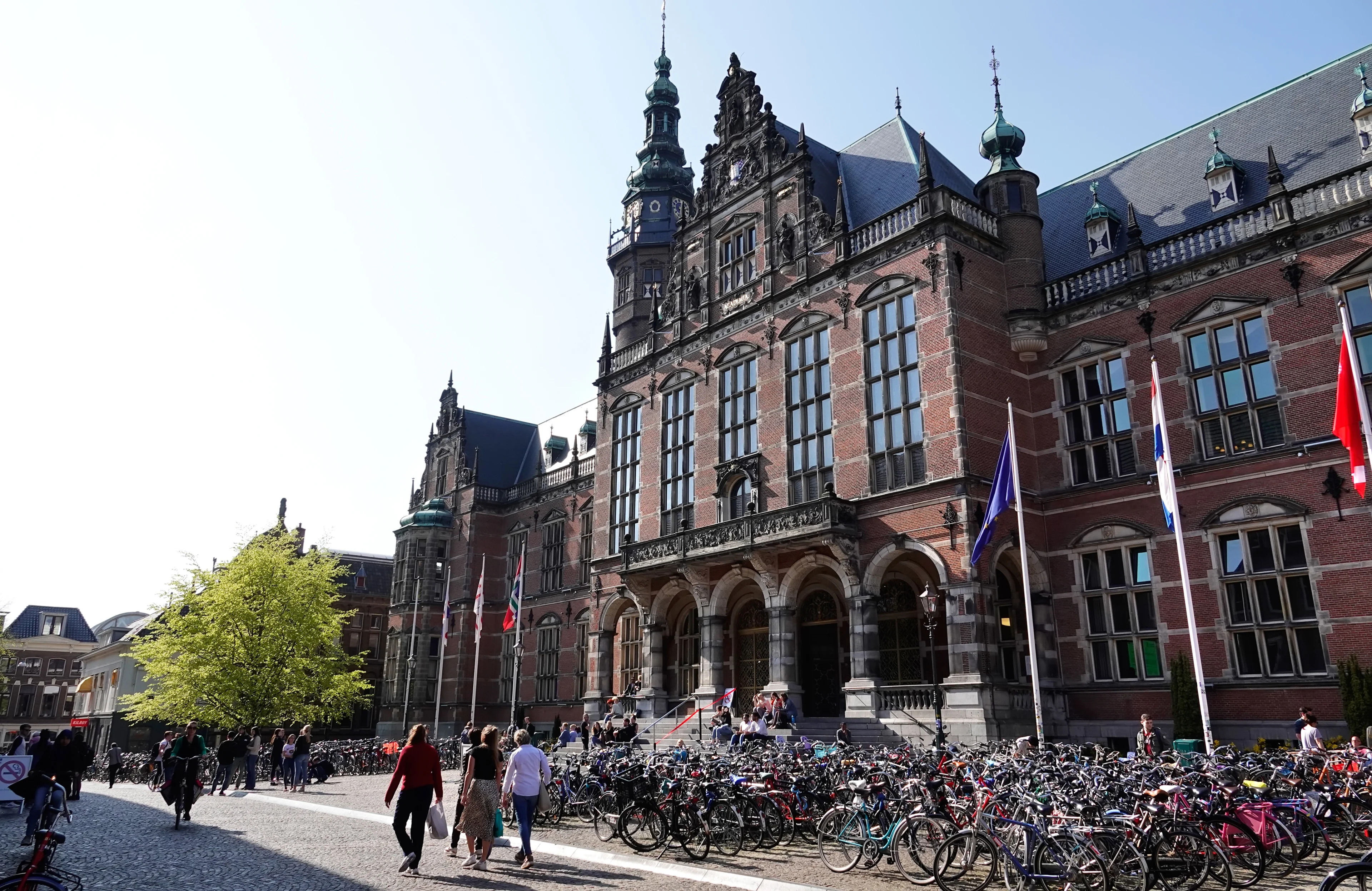 Hoogleraar RUG krijgt tik op de vingers voor adviezen paspoorthandel