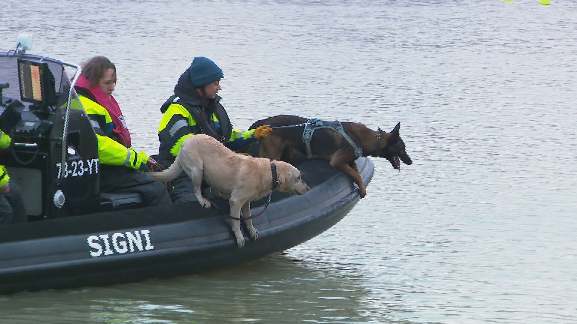 Signi Zoekhonden zelf in de spotlights door documentaire: 'Even wennen om hele tijd gevolgd te worden'