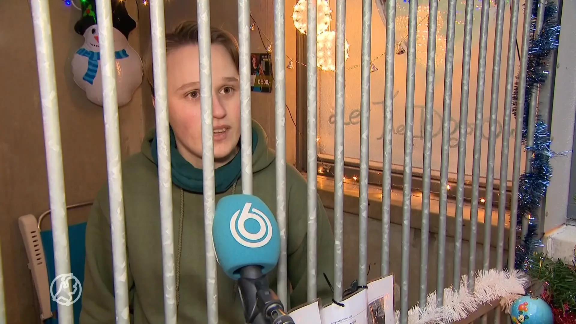 Dierenverzorgers sluiten zichzelf op in hondenkennel Zwolle: 'Er is nooit genoeg geld'