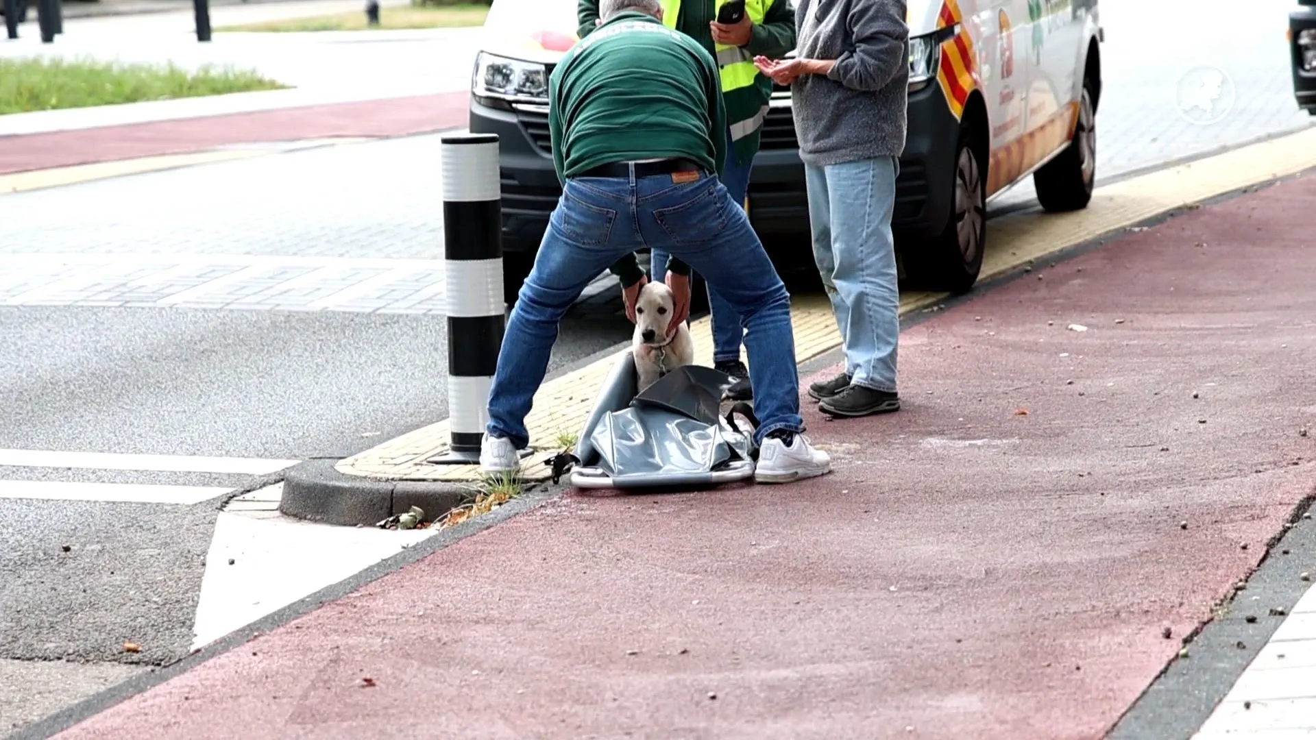Hond raakt bekneld tussen wiel van fiets in Bloemendaal