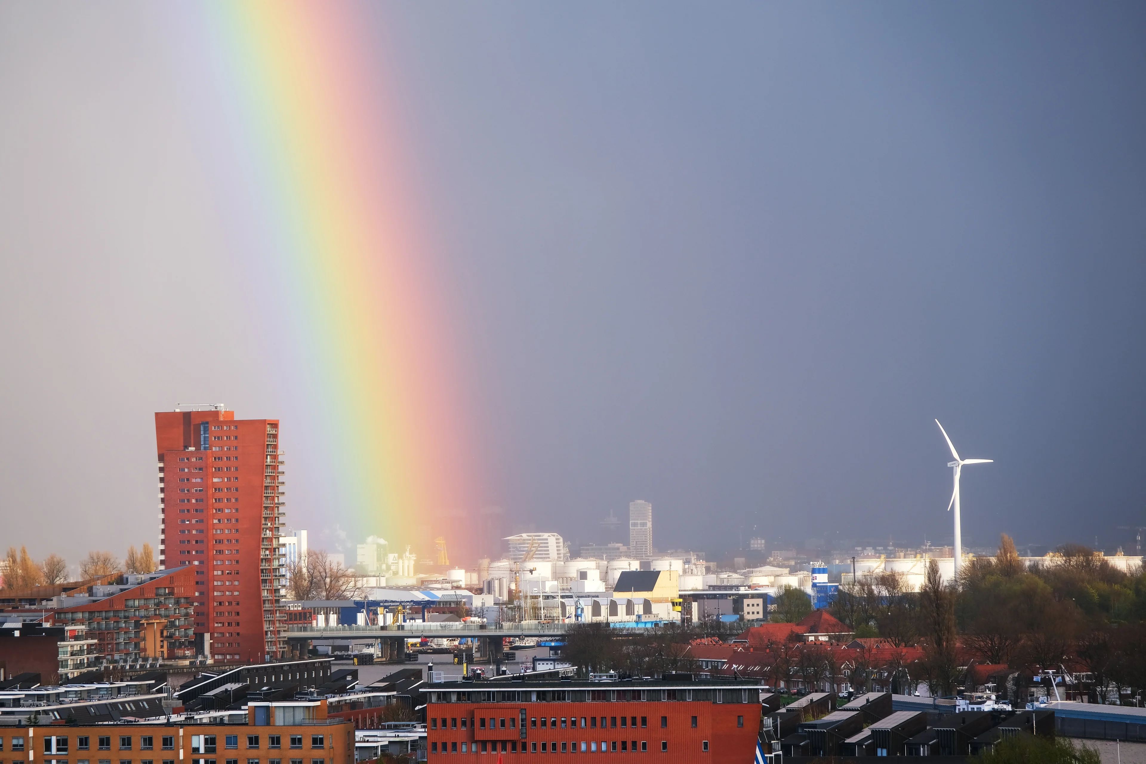 Waarom zien we nu opeens zo veel regenbogen?