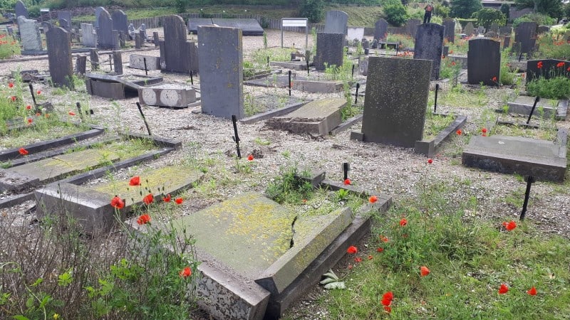 Enorme ravage op begraafplaats 's-Gravenzande: meer dan honderd graven vernield