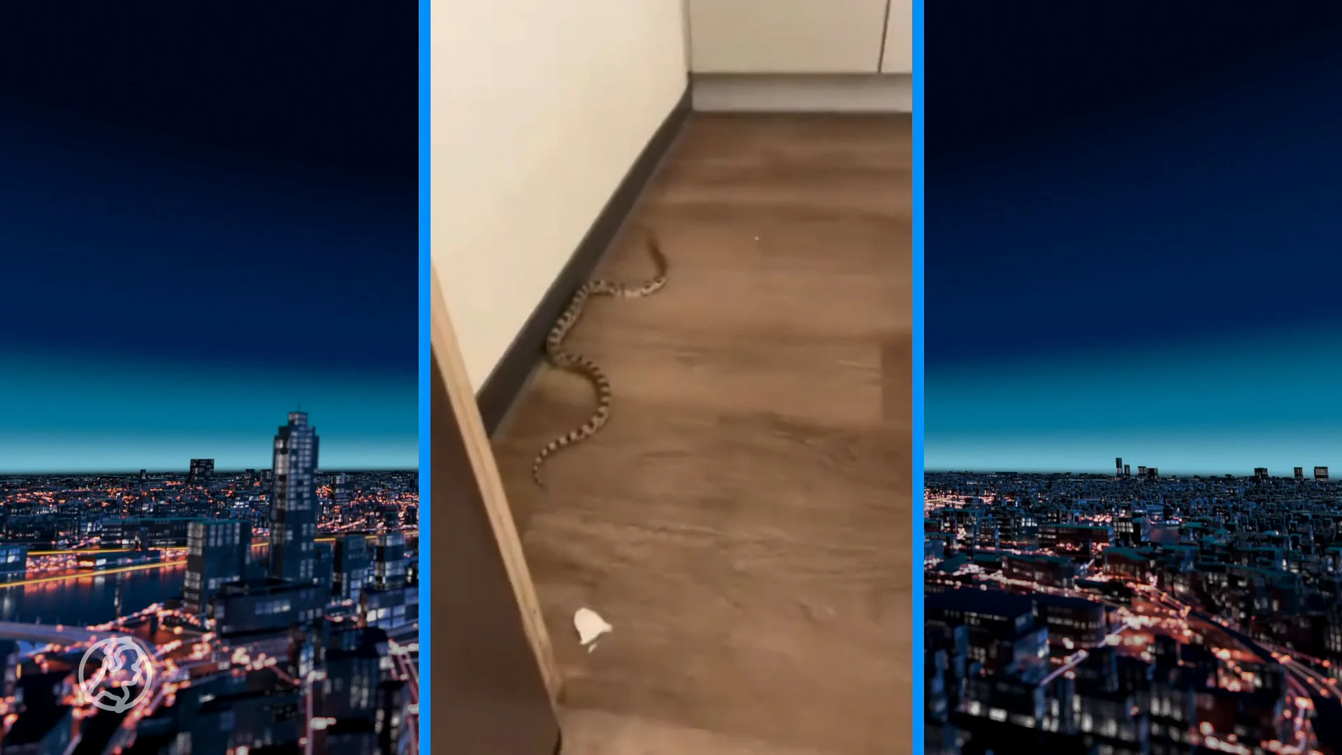 Slang 'wil ook verzorgd worden' en jaagt verzorgingshuis stuipen op het lijf